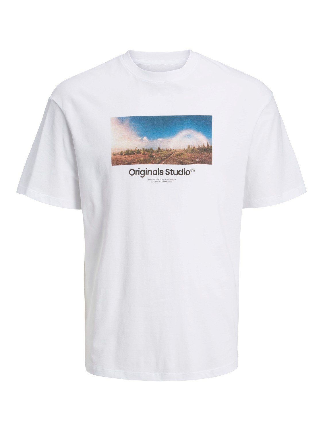 Jack & Jones Herren Rundhals T-Shirt JORVESTERBRO PHOTO - Regular Fit günstig online kaufen