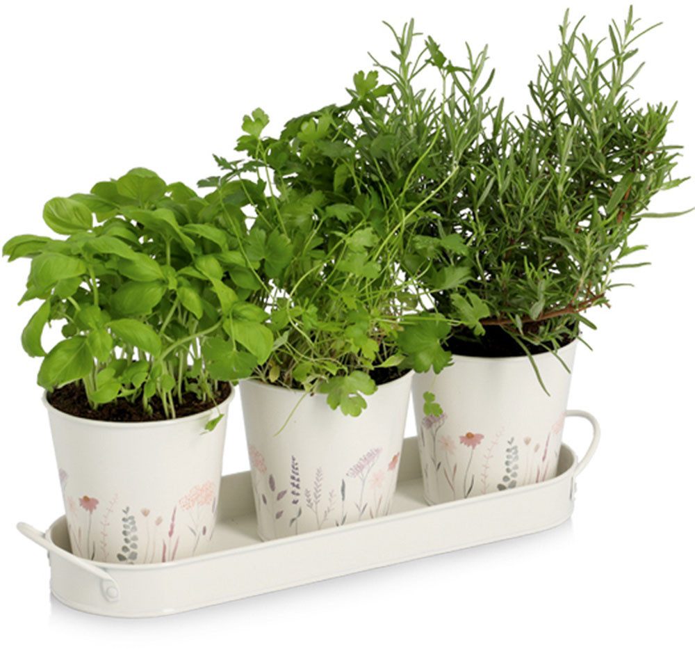 Zeller Present Kräutertopf Pflanztopf-Set (Set, 4 St), 3 Töpfe & passendes Tablett
