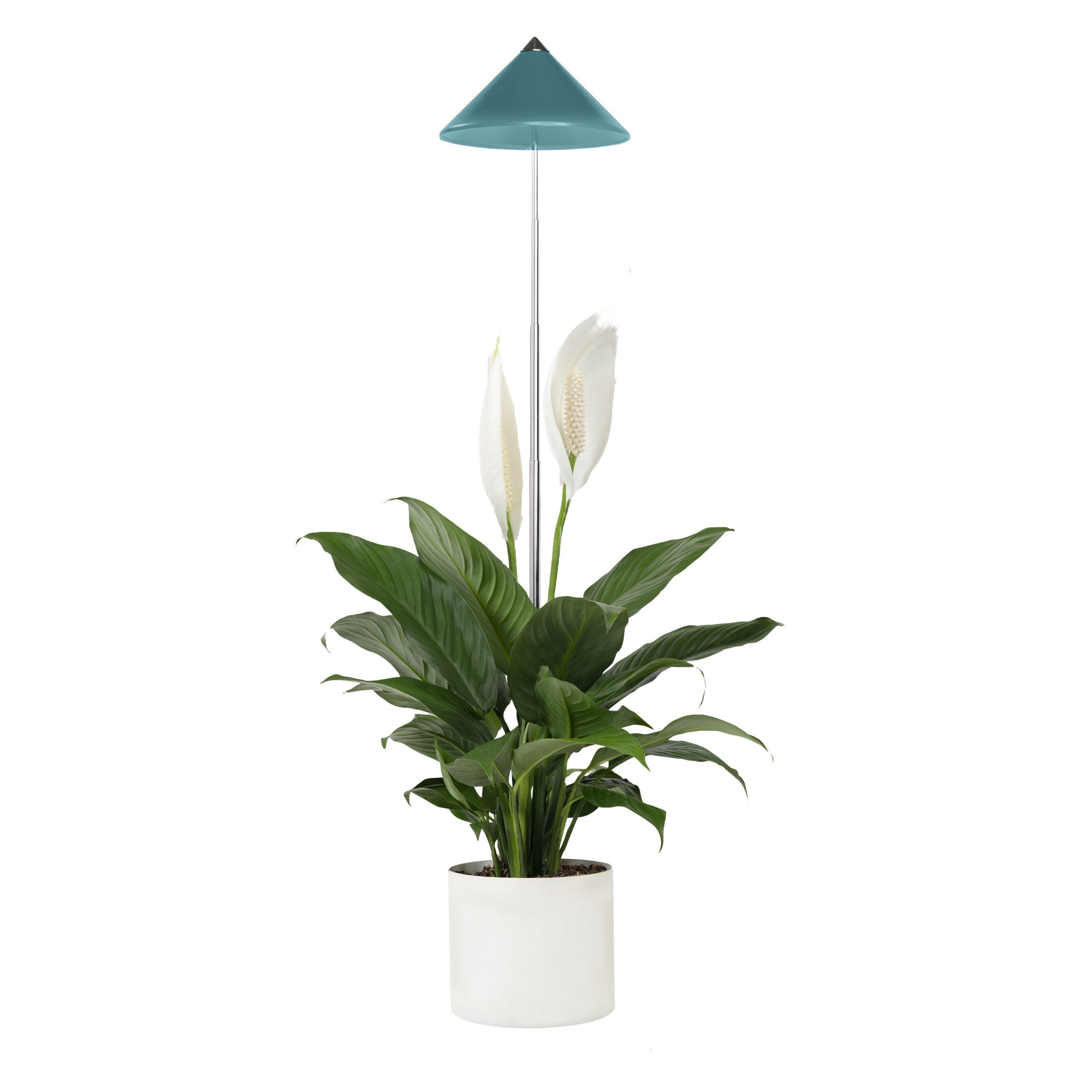 PARUS Pflanzenlampe Indoor plants, Leuchtmittel für Pflanzen, Teleskopstab 1m, Parus by Venso SUNLiTE LED Pflanzenlampe klein 7W Petrol, Wachstumsla