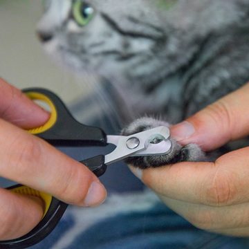 Rnemitery Krallenschneider Nagelknipser für Haustiere Trimmer für Haustiere für Pfotenpflege, (1-tlg)