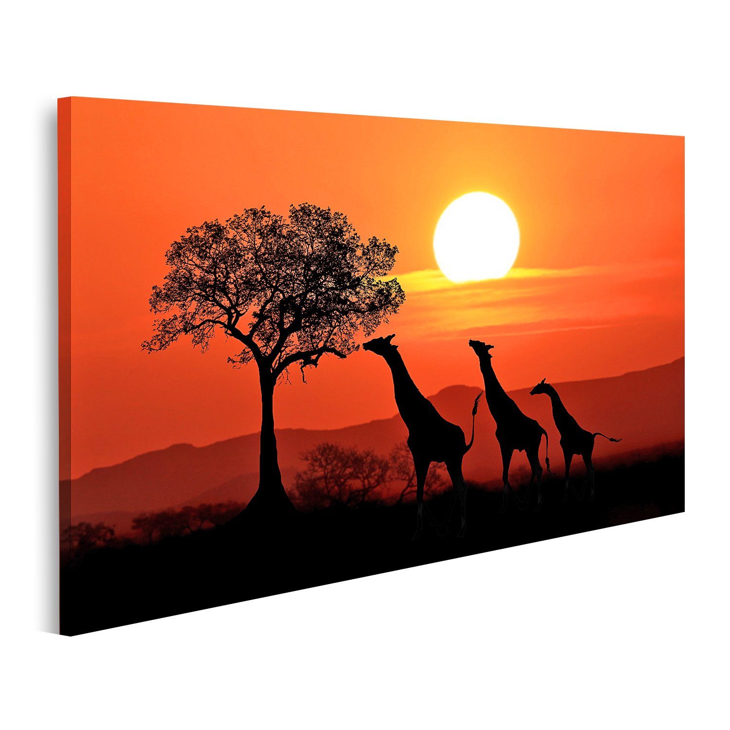 Leinwandbild Bild auf Leinwand Große südafrikanische Giraffen Sonnenuntergang Afrik