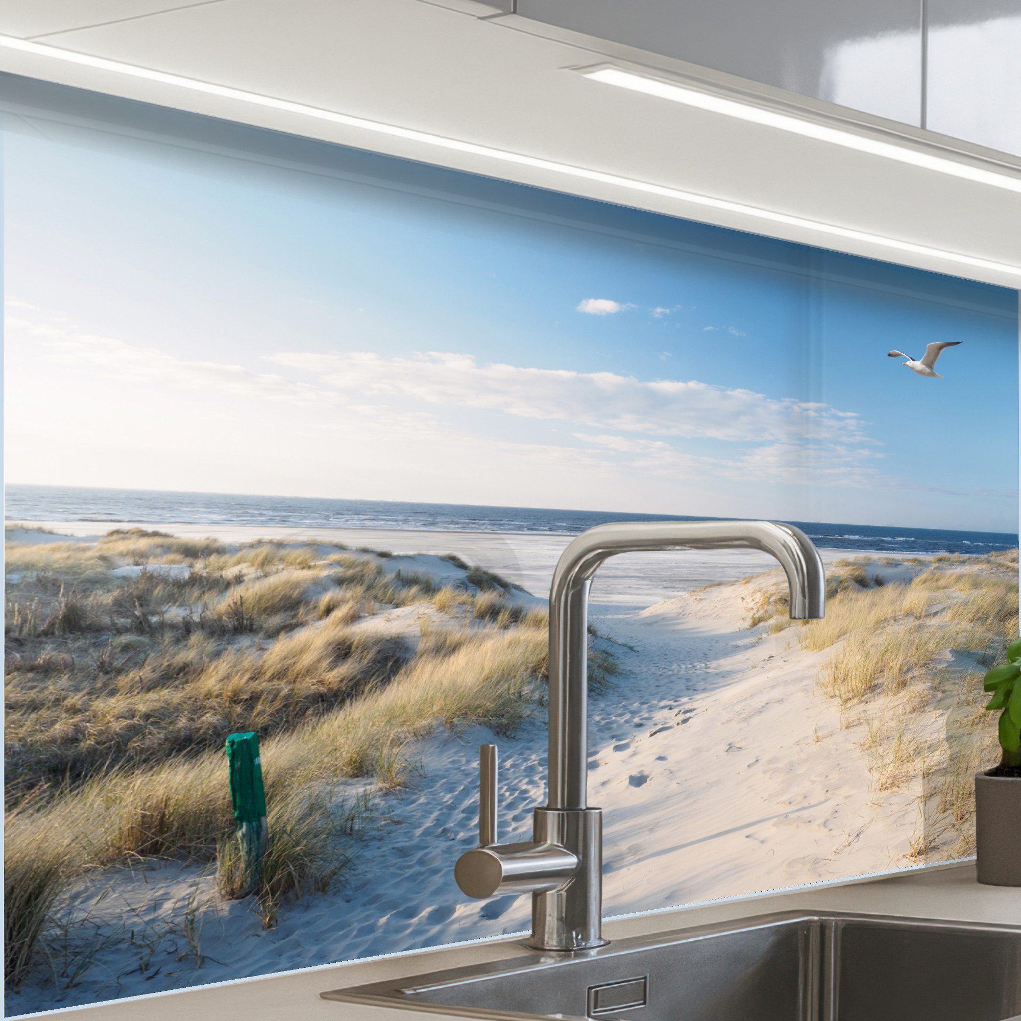 KitchenYeah Küchenrückwand selbstklebend Düne - Möwe - Strand - Meer - Sonn günstig online kaufen