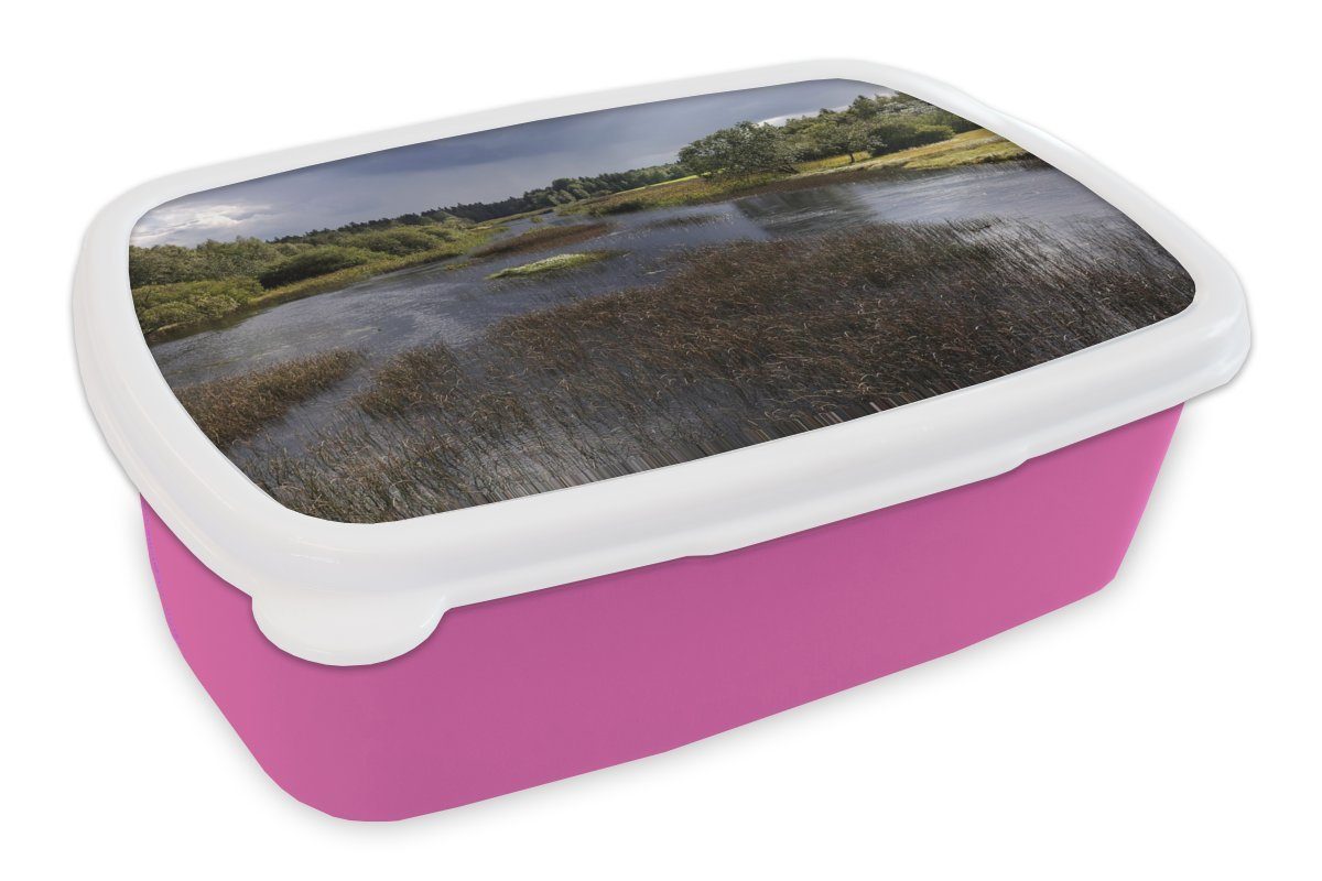 MuchoWow Lunchbox Die Flusslandschaft im Store-Mose-Nationalpark in Schweden, Kunststoff, (2-tlg), Brotbox für Erwachsene, Brotdose Kinder, Snackbox, Mädchen, Kunststoff rosa