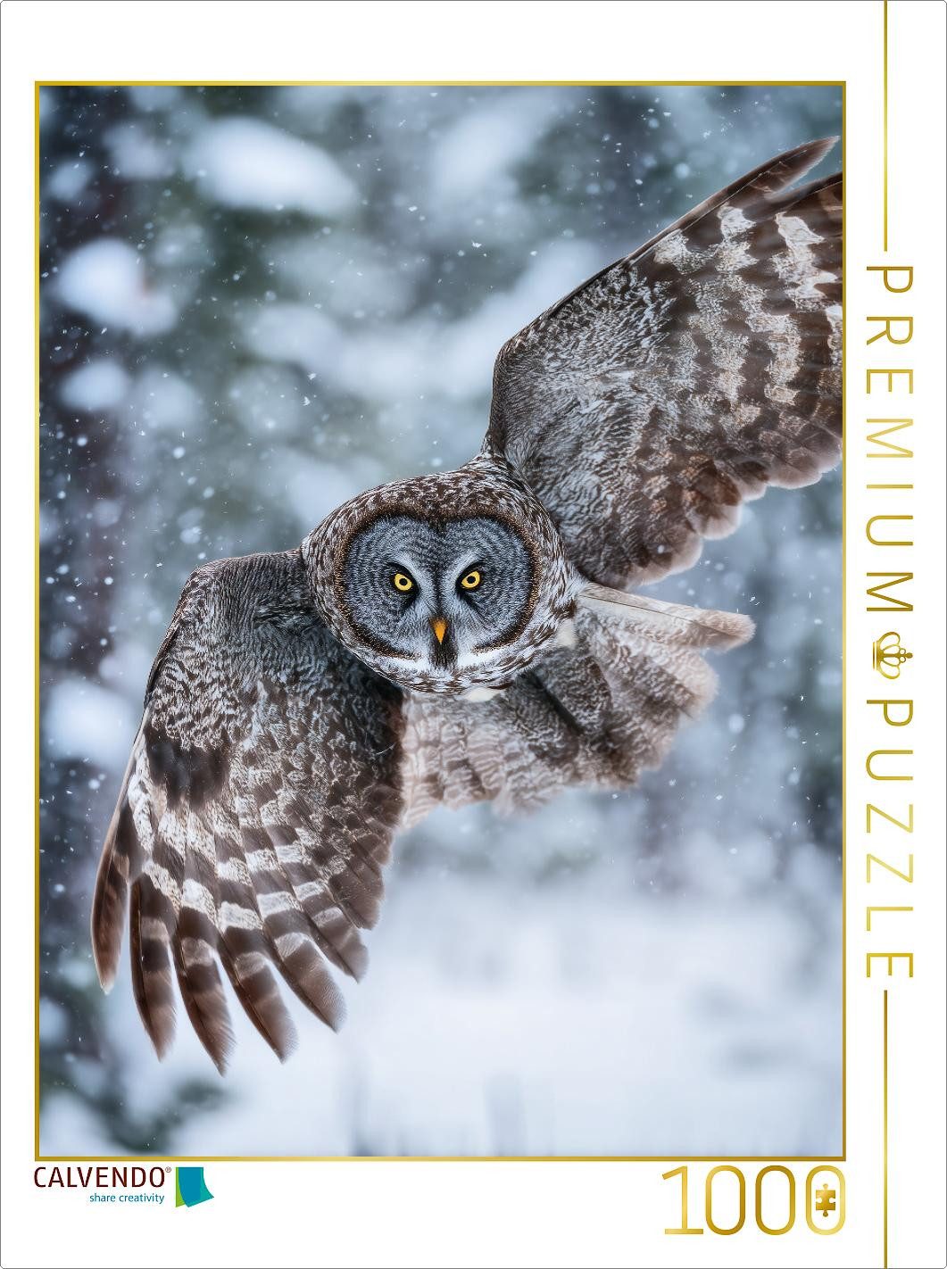 CALVENDO Puzzle CALVENDO Puzzle Eule im Flug, 1000 Teile Lege-Größe 64x48cm Foto-Puzz, 1000 Puzzleteile