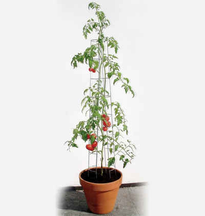 Bellissa Rankhilfe Bellissa Tomatenturm 180cm 180 cm hoch