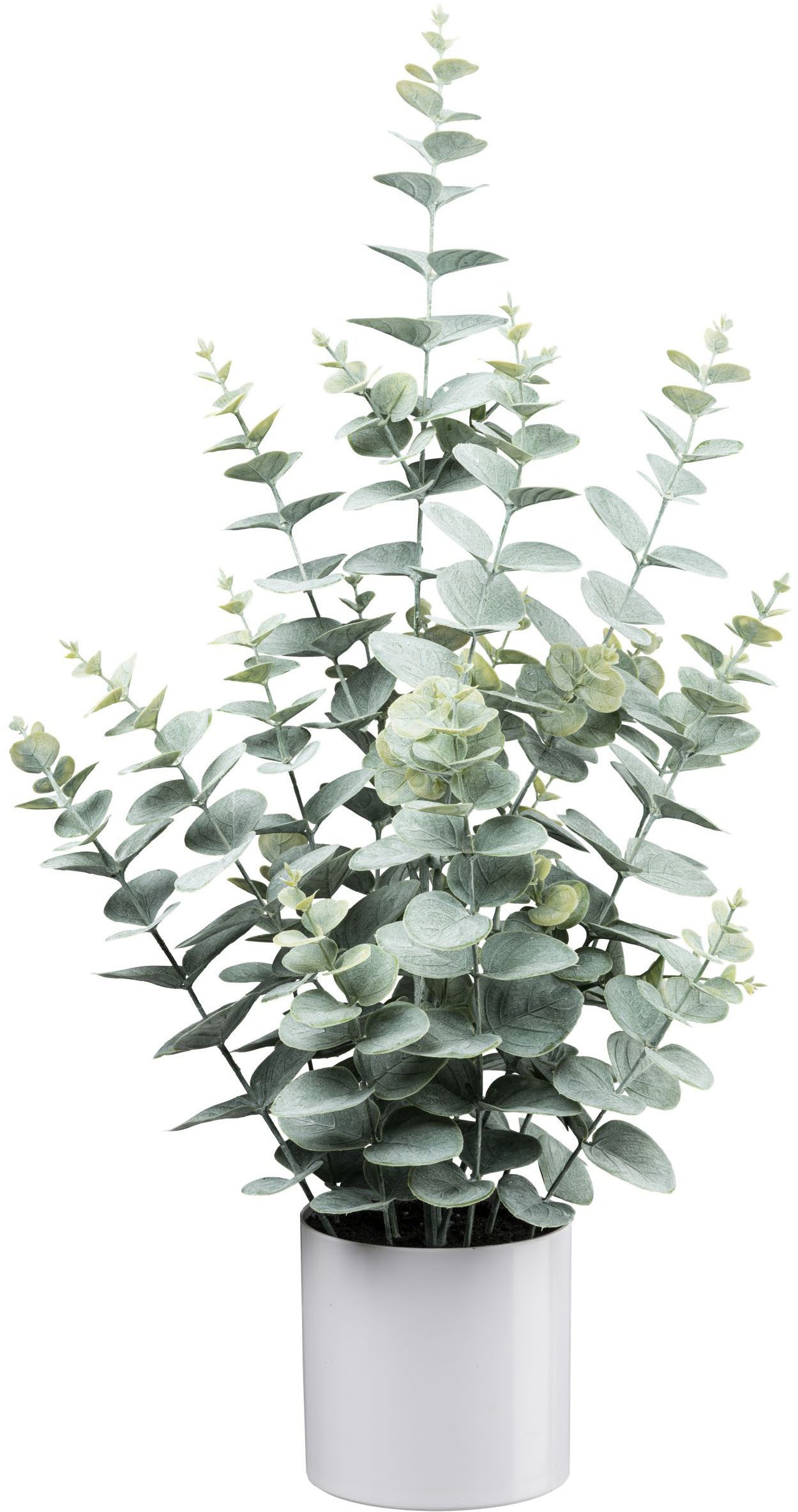 Kunstpflanze Eukalyptus, Creativ green, Höhe 65 cm, mit üppigem Blattwerk günstig online kaufen