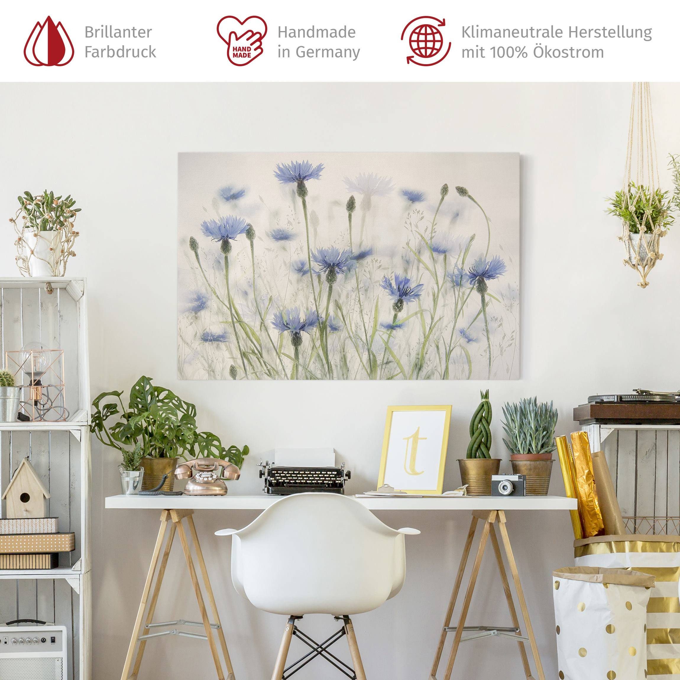 Bilderdepot24 Leinwandbild Blumen Modern Kornblumen Gräser Feld grün Bild auf Leinwand Groß XXL, Wohnzimmer Schlafzimmer Küche Flur Wandbild Kunstdruck Wanddeko Druck