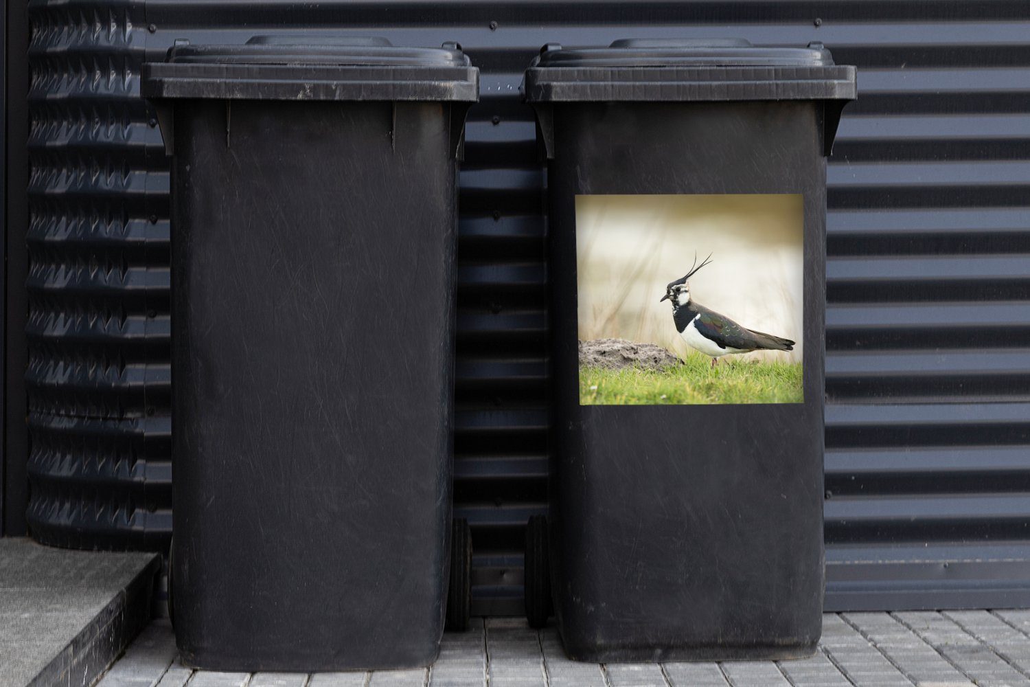 - Mülleimer-aufkleber, MuchoWow Container, Abfalbehälter Tiere St), Gras Sticker, Natur - (1 Vogel - Wandsticker - Kiebitz Mülltonne,