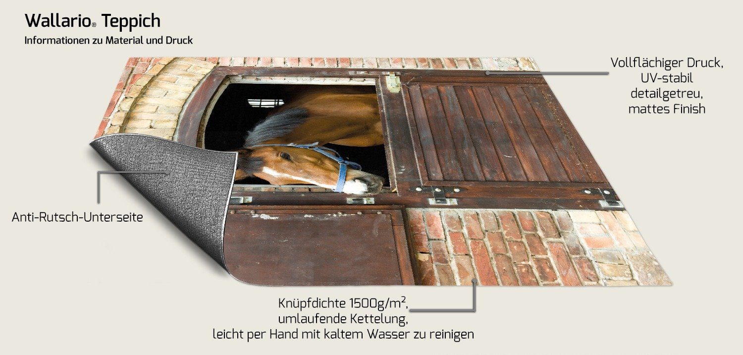 Wallario Teppich Pferd im Stall, rechteckig, rutschfest