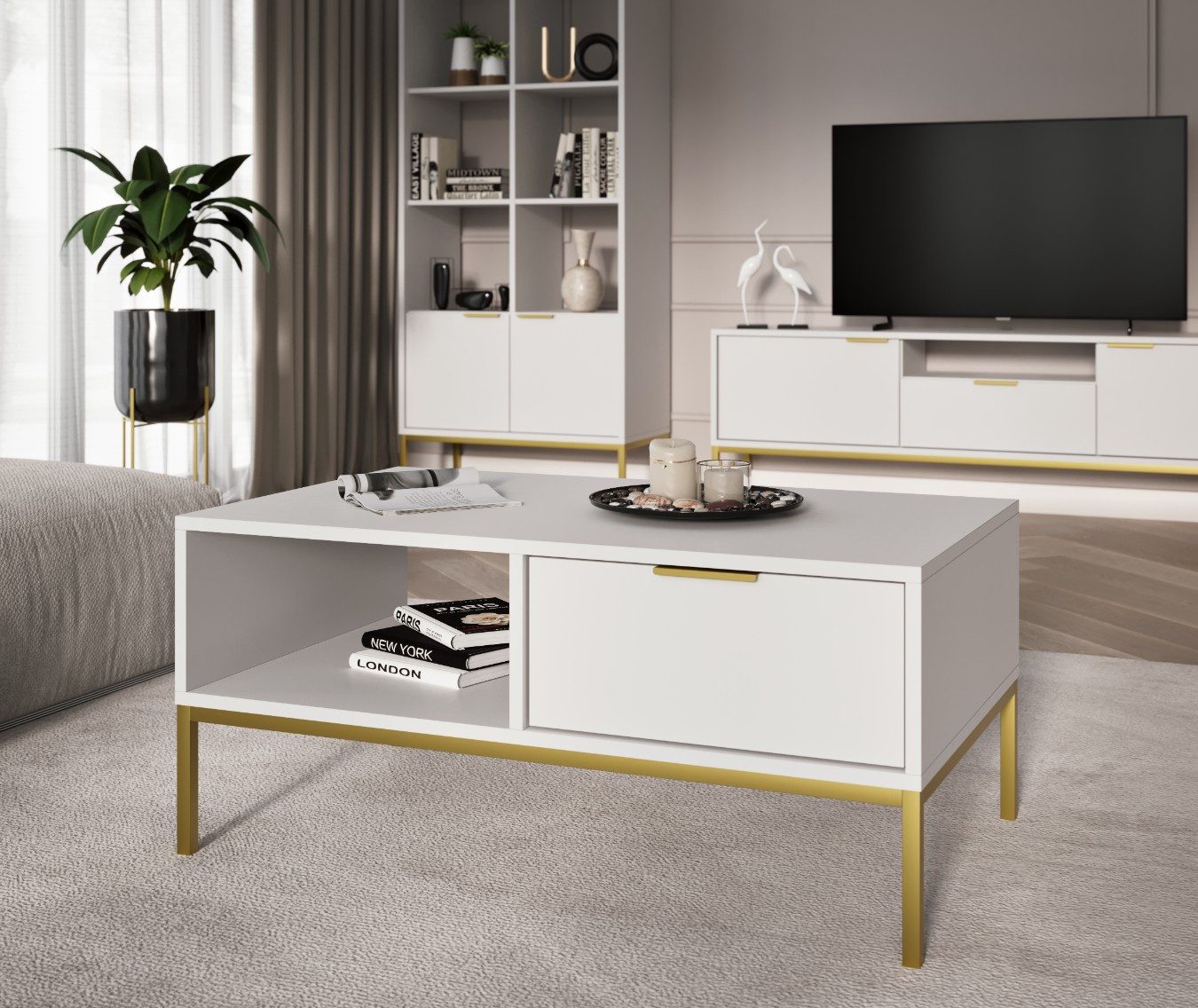 Raumhirsch Furniture Couchtisch Austin 80x60x45 cm, 100x60x45 cm (Einzelmöbel, Couchtisch mit 1 Ablage und 1 seitlicher Schublade), modernes Design, stabil & funktional, vielseitig einsetzbar