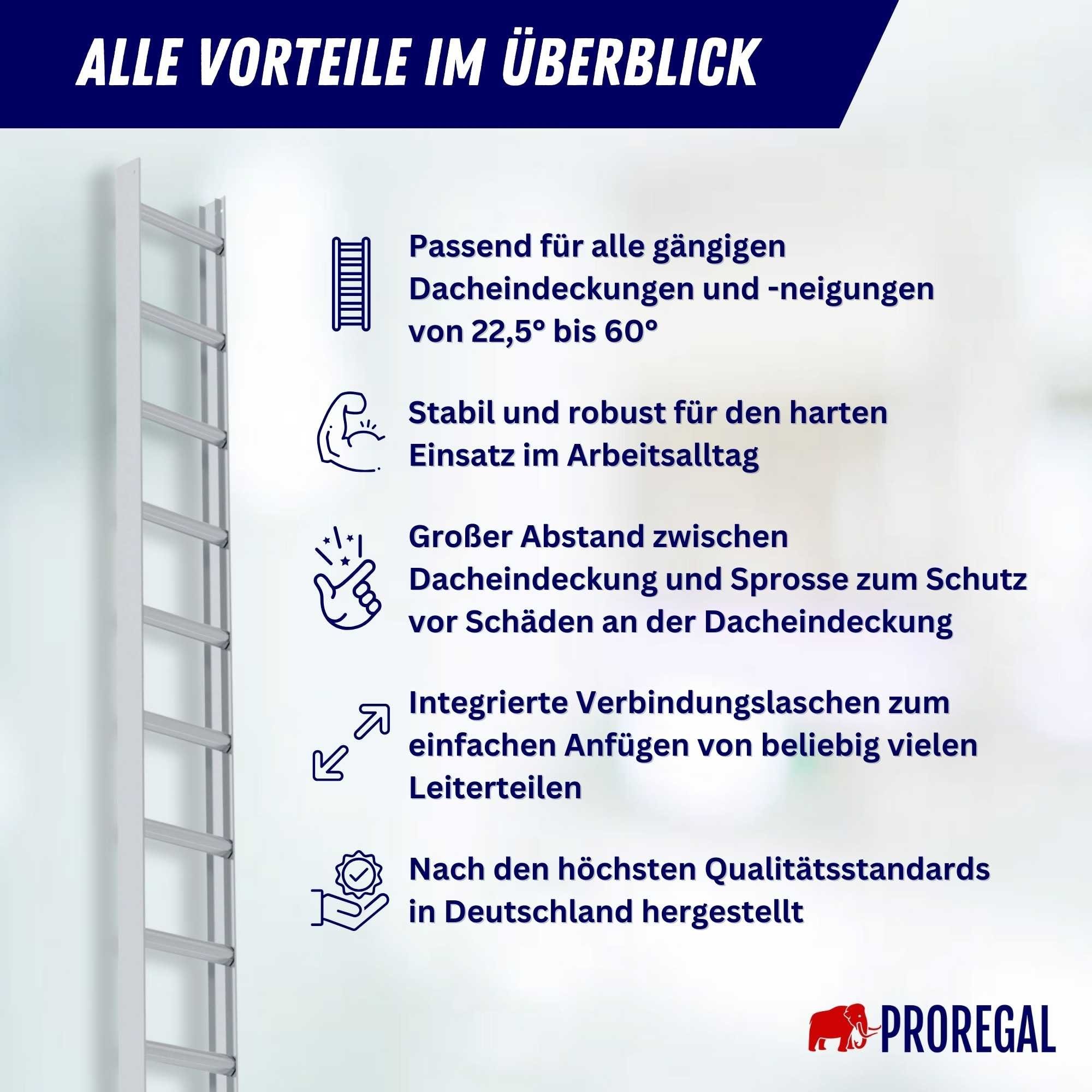 PROREGAL® Trittleiter Dachleiter Alu