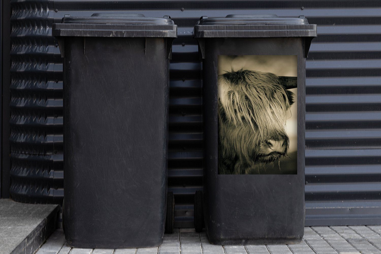 Container, (1 Highlander Mülleimer-aufkleber, - MuchoWow Schottischer - Mülltonne, Sticker, Haare Abfalbehälter St), Tiere Wandsticker
