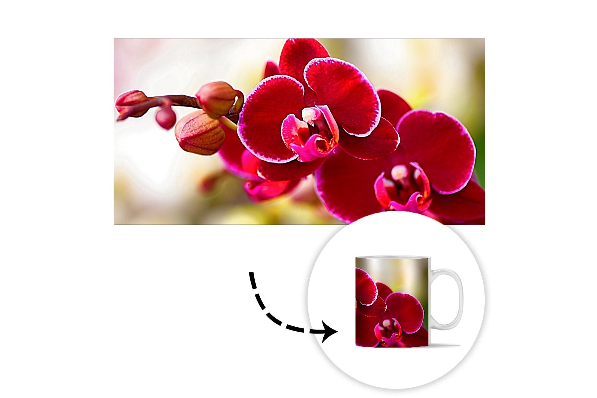 Geschenk Teetasse, von Orchideen einem Tasse Kaffeetassen, Keramik, vor roten Becher, MuchoWow Hintergrund, unscharfen Nahaufnahme Teetasse,