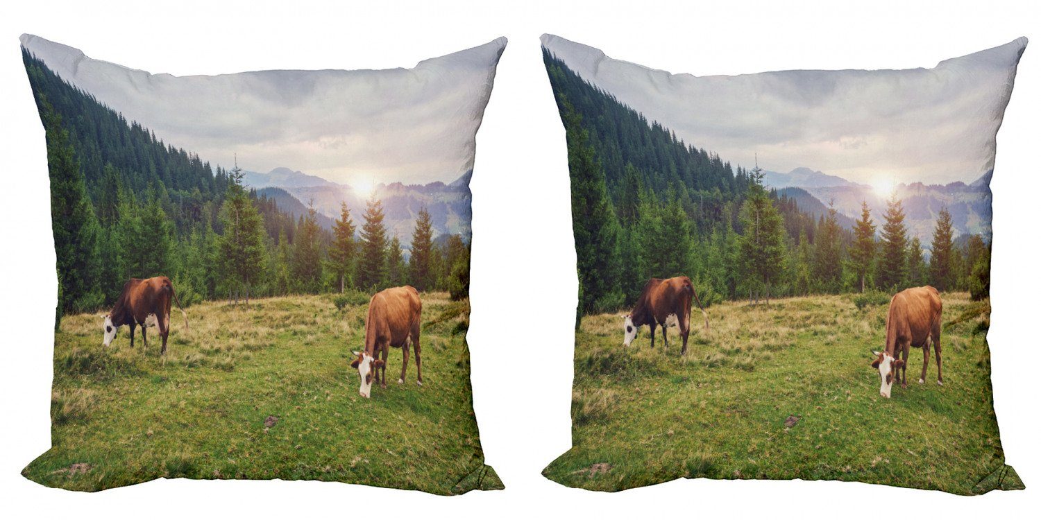 Kissenbezüge Modern auf Bauernhoftier grasen (2 Accent Stück), Abakuhaus der Kühe Doppelseitiger Digitaldruck, Wiese