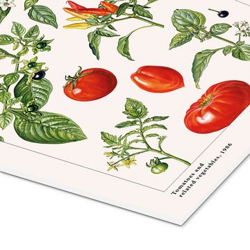 Posterlounge Forex-Bild Elizabeth Rice, Tomaten und andere Nachtschattengewächse, 1986, Esszimmer Landhausstil Grafikdesign