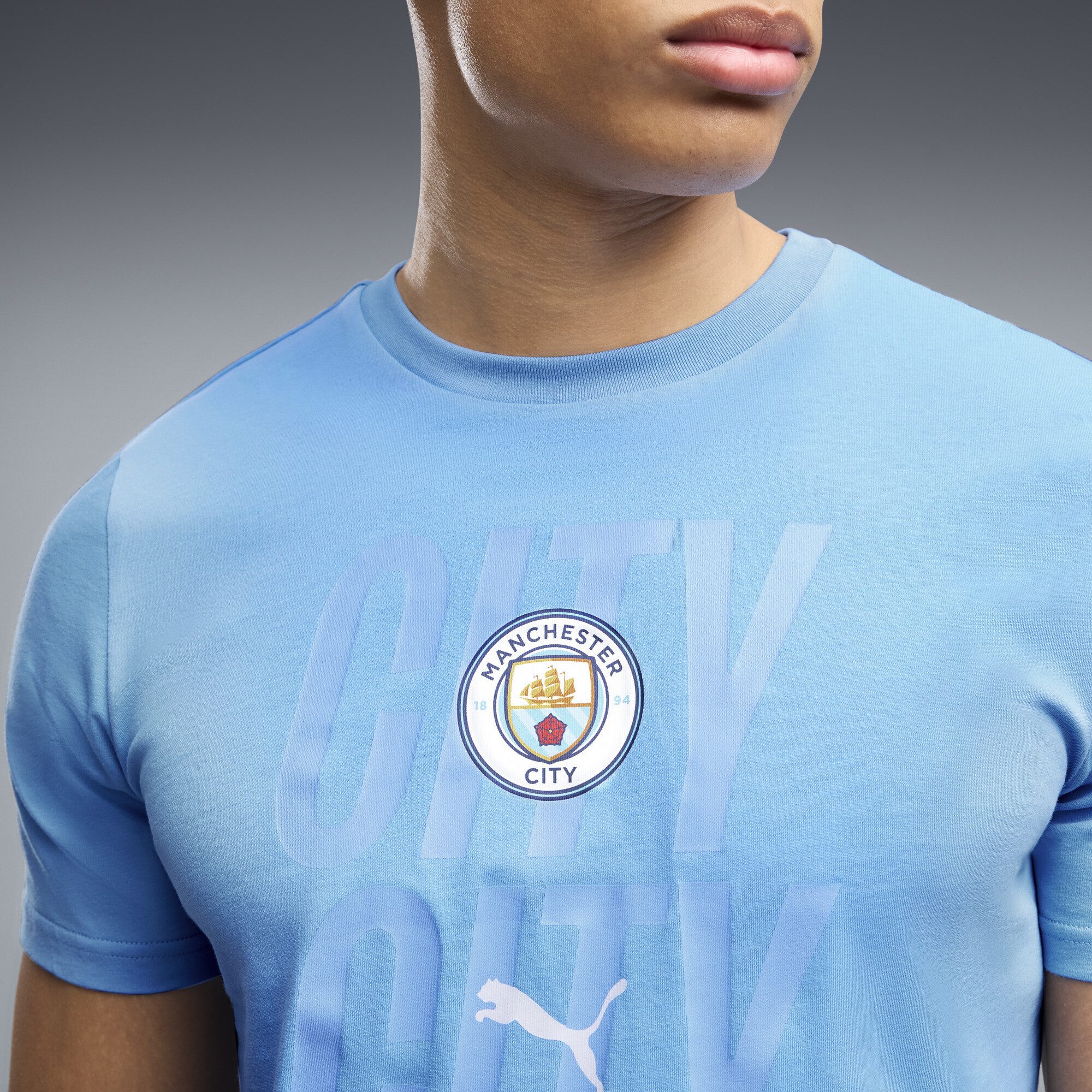 PUMA T-Shirt Manchester City ftblCulture T-Shirt Herren