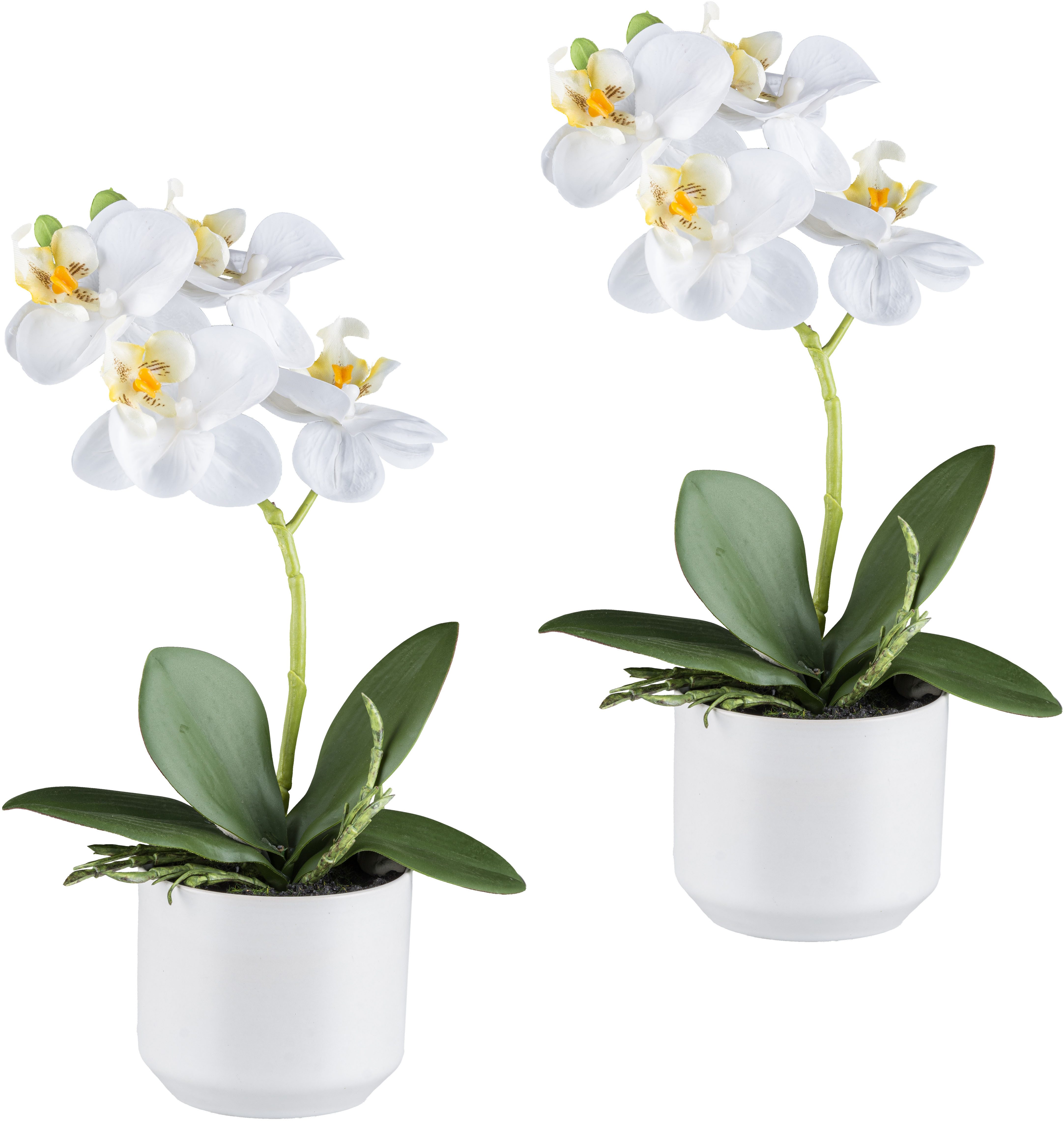 Kunstorchidee Orchidee Phalaenopsis, Creativ green, Höhe 27 cm, mit real-to günstig online kaufen