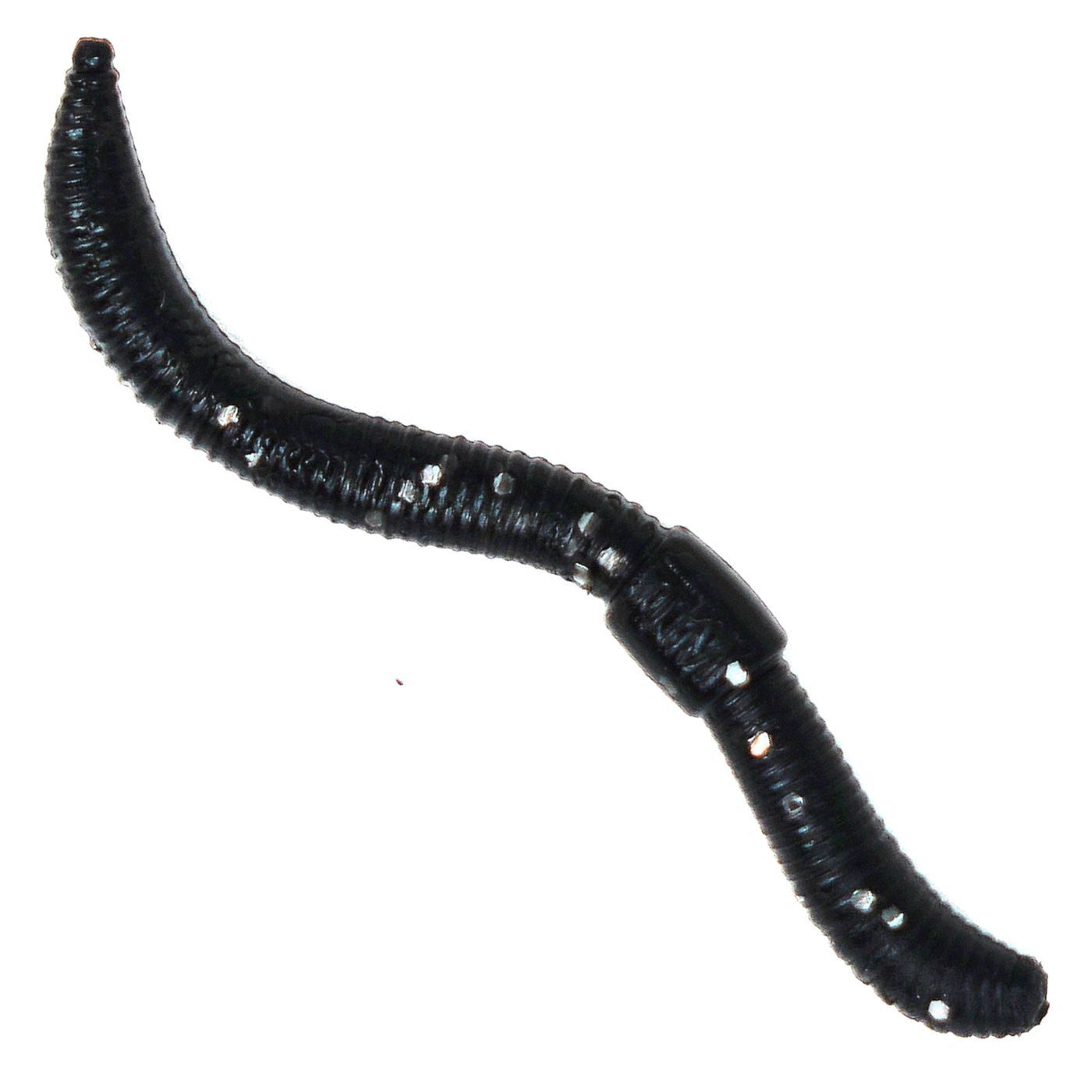 Trout Master Kunstköder Dendrobaena Black
