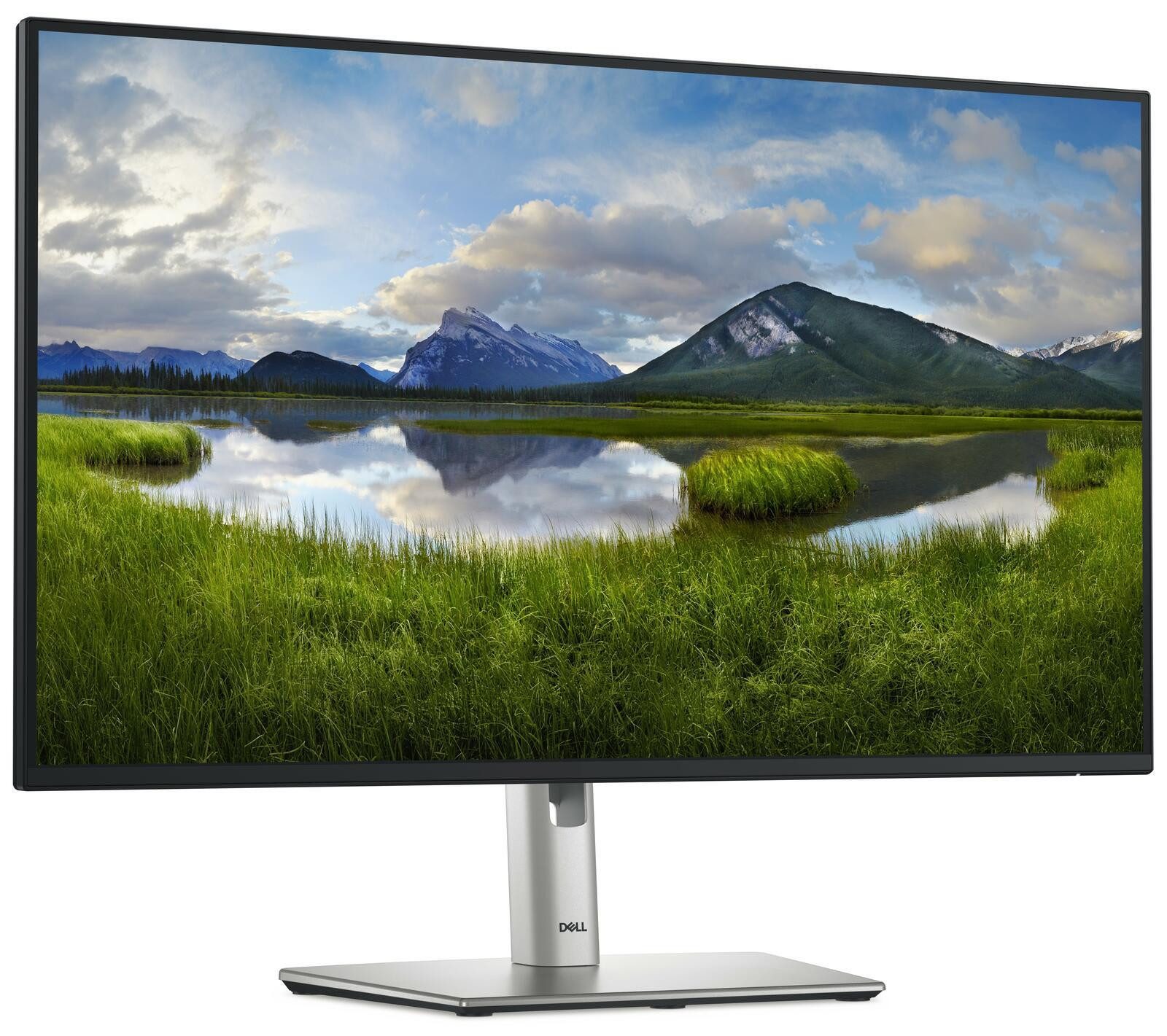 Dell Dell P2725H TFT-Monitor (1920 x 1080, 8 ms Reaktionszeit, 100 Hz, IPS Panel)