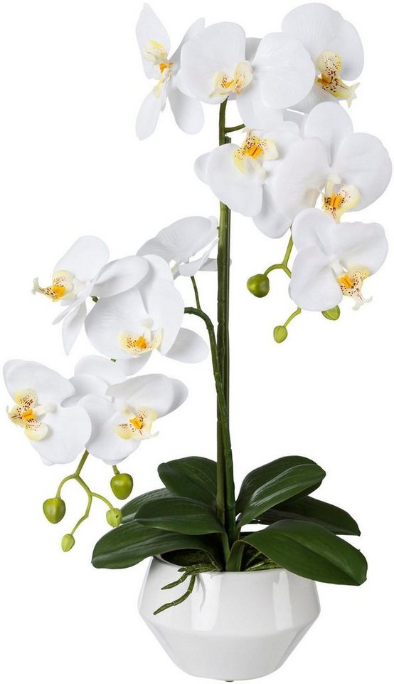 Kunstpflanze Orchidee, Creativ green, Höhe 52 cm