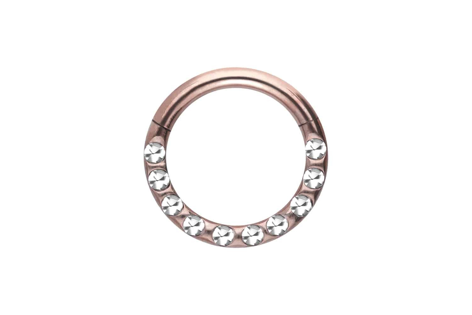 Nasenpiercing Titan Segmentring Clicker KRISTALLE + EPOXY Ohrpiercing Septum Nase