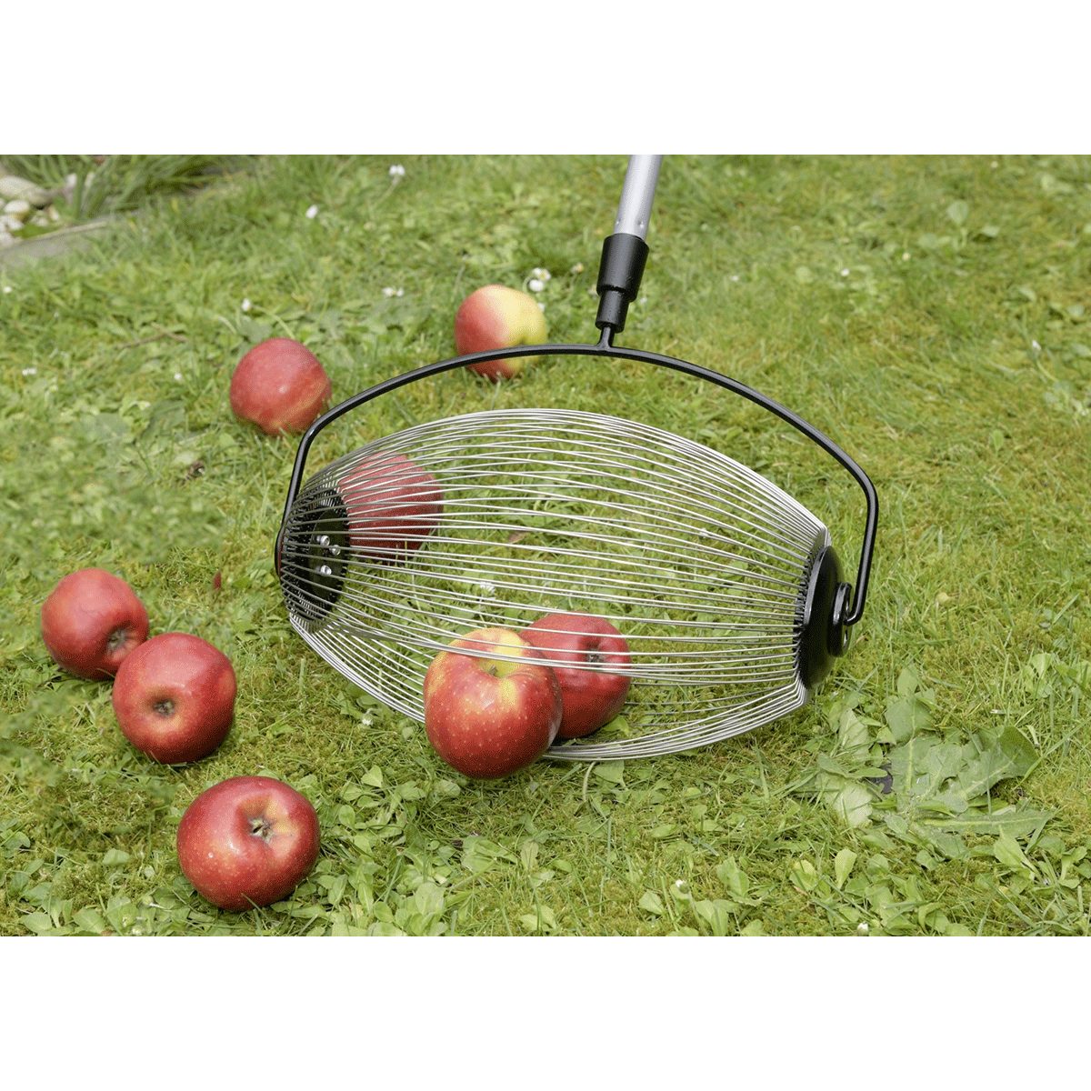 Maximex Blumenkralle Maximex Gartengerät Mod. Rollsammler günstig online kaufen