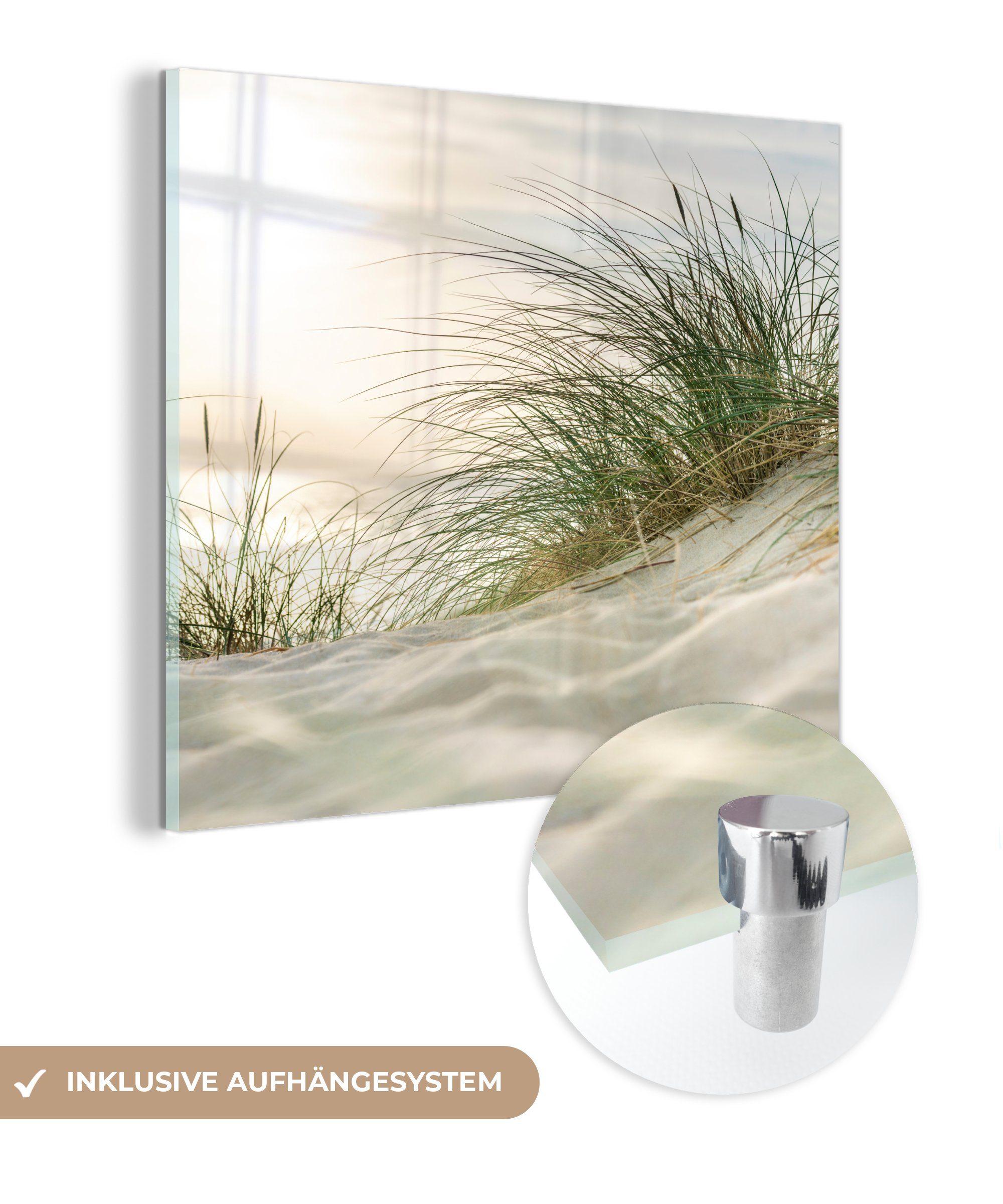MuchoWow Acrylglasbild Dünen mit Strandhafer in günstig online kaufen