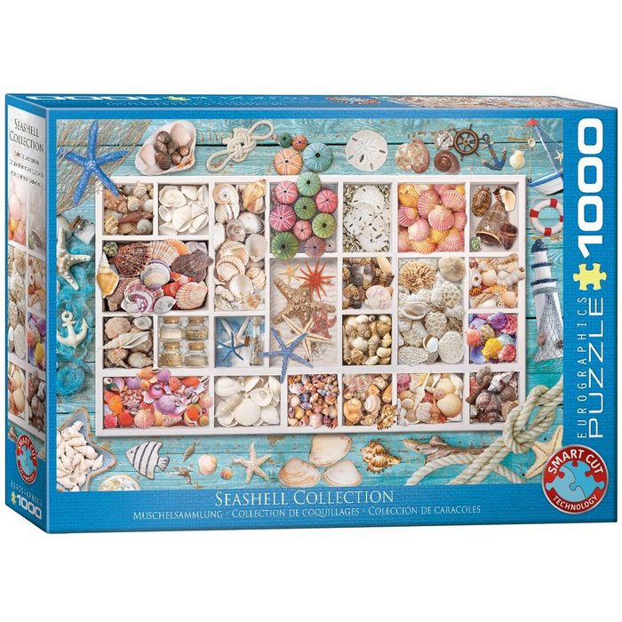 EUROGRAPHICS Puzzle Muschelsammlung 1000 Puzzleteile