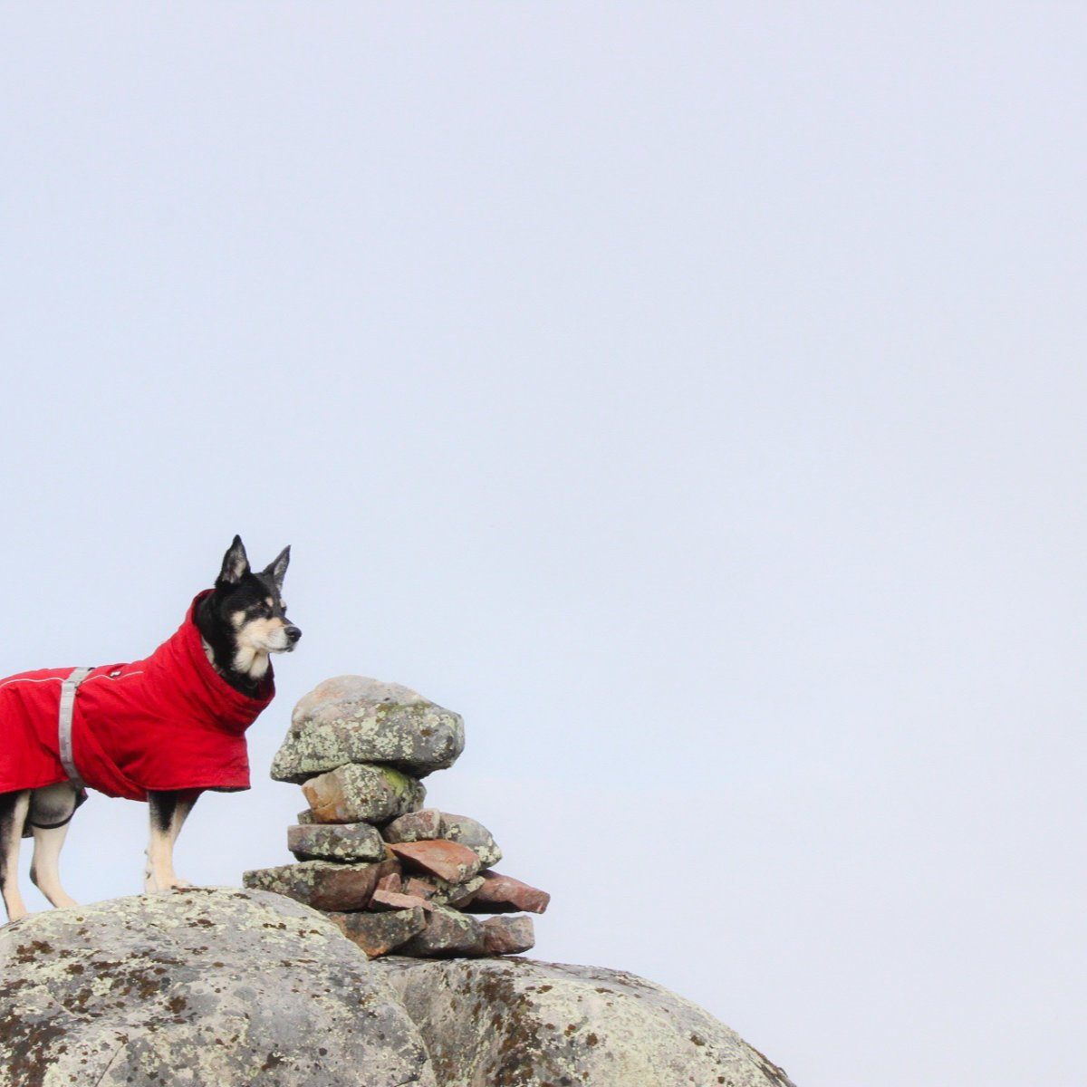 HURTTA Hundemantel Extreme warmer V2 (Wärmejacke) weinrot