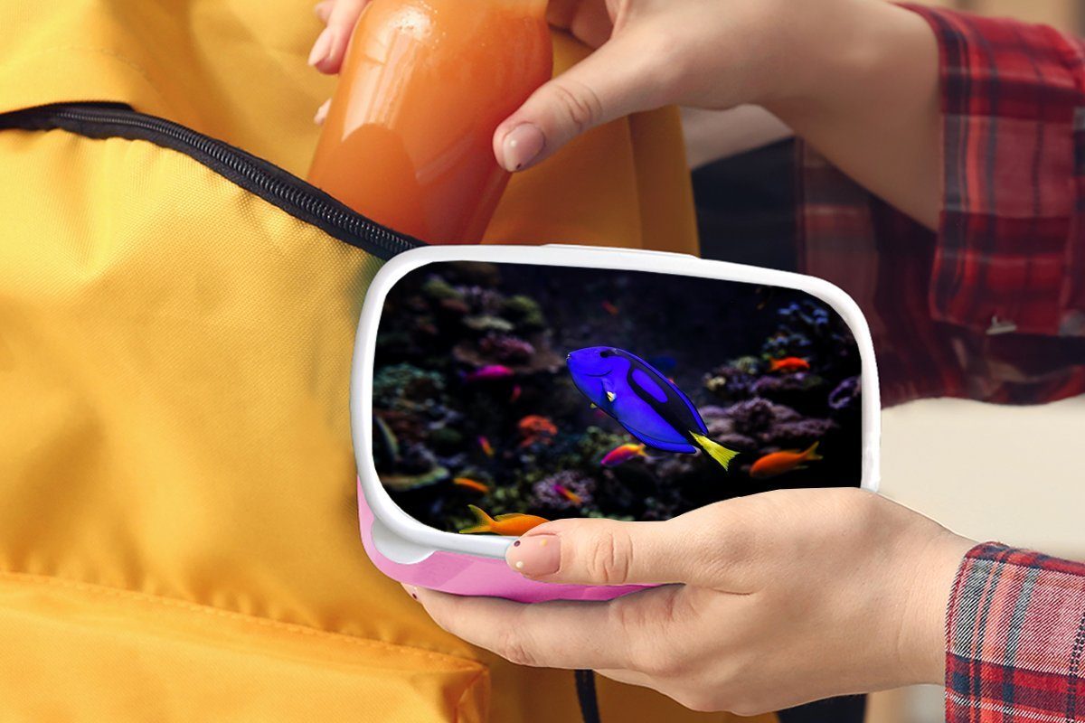 Mädchen, Picasso-Doktorfisch Lunchbox rosa Brotdose Aquarium, Erwachsene, Kinder, MuchoWow Kunststoff, Ein (2-tlg), Kunststoff Snackbox, in Brotbox für einem