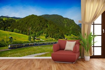 Wallario Vliestapete Eisenbahn in einer Sommerlandschaft in der Schweiz, seidenmatte Oberfläche