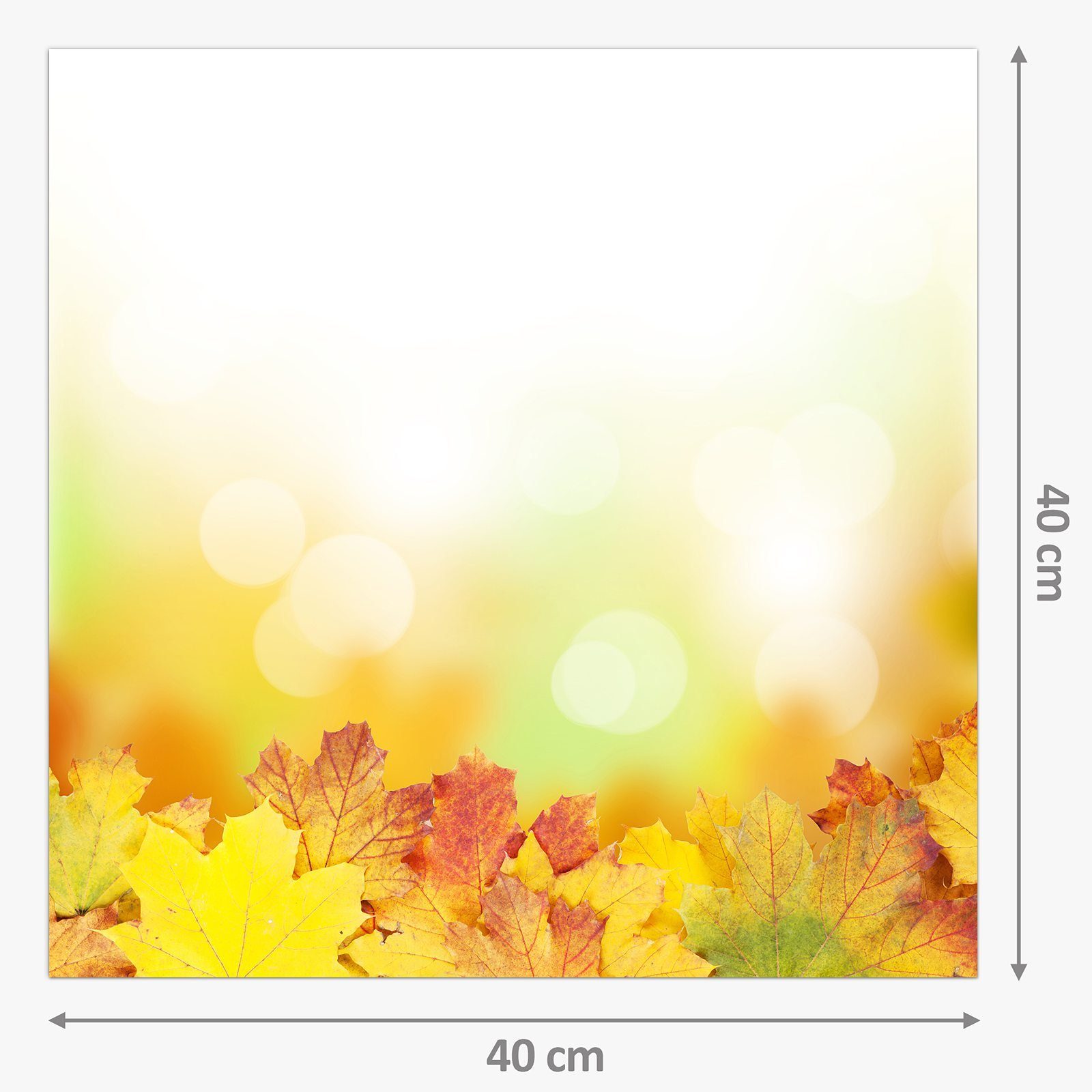 Herbstblätter Glas Primedeco Sonnenlicht im Spritzschutz Küchenrückwand