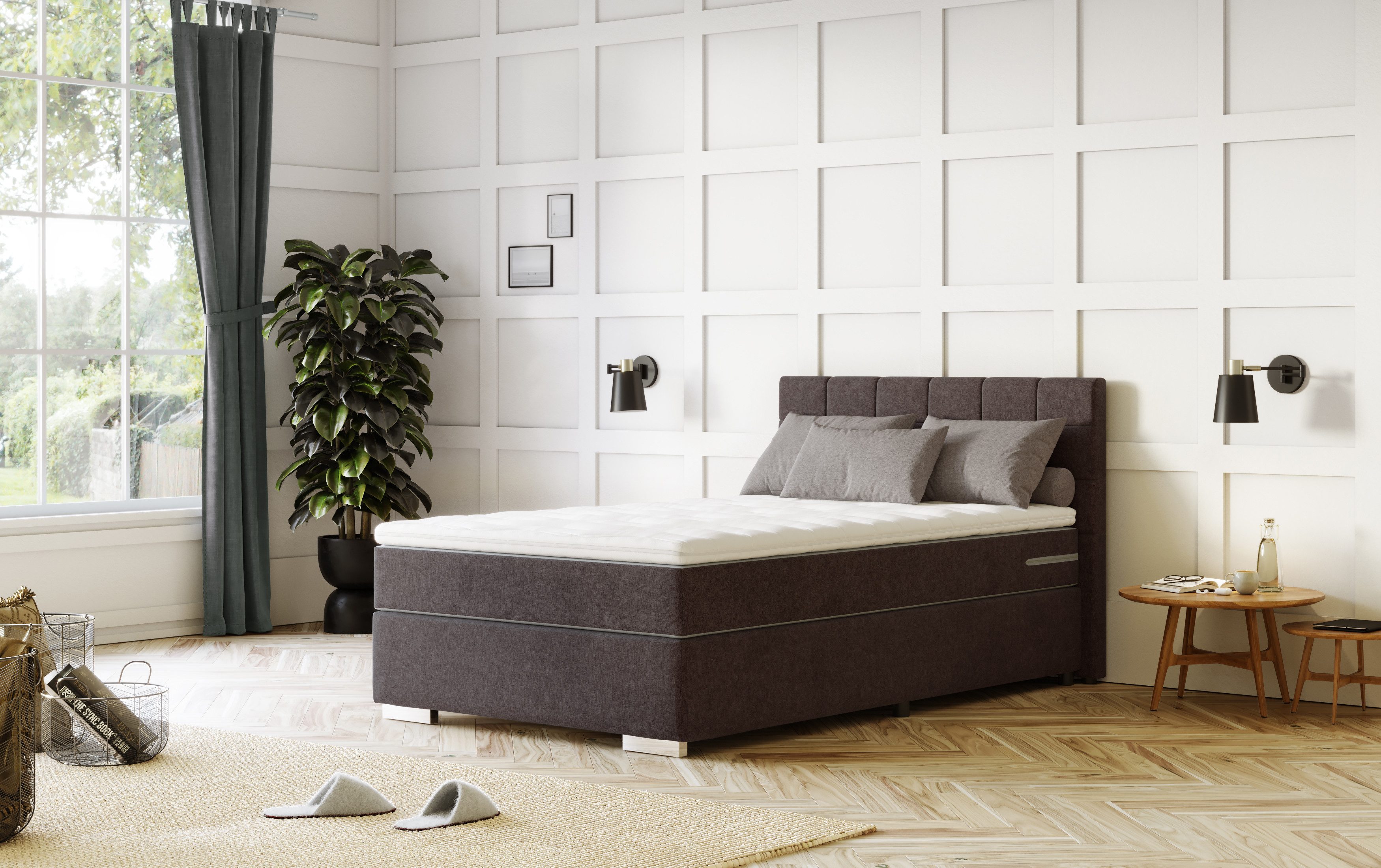 COTTA Boxspringbett Simba, Хиты продаж! wahlweise mit oder ohne Matratze und Topper bestellbar