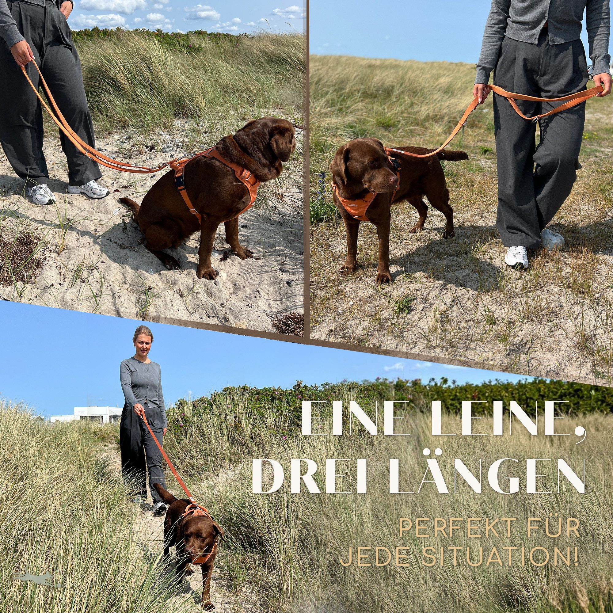 Freudentier Hundeleine 2m, verstellbar & gepolstert, Führleine aus Nylon, für mittelgroße & große Hunde