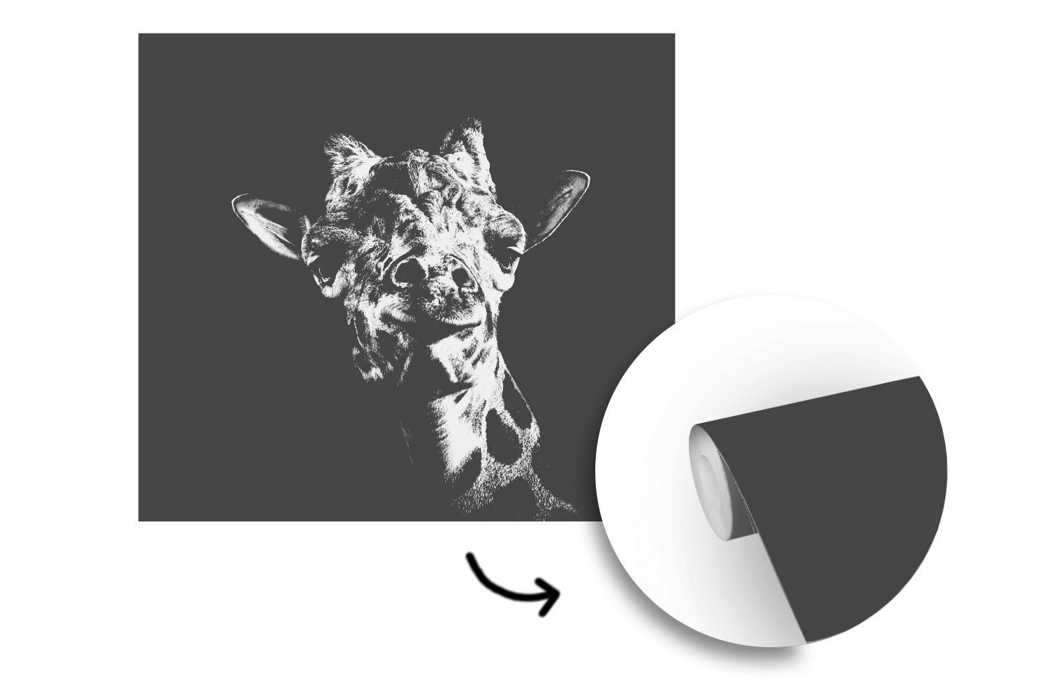Tapete Fototapete Giraffe Wohnzimmer - - Vinyl Tier Wandtapete oder MuchoWow bedruckt, (5 Matt, Weiß, Schwarz - St), für Schlafzimmer,