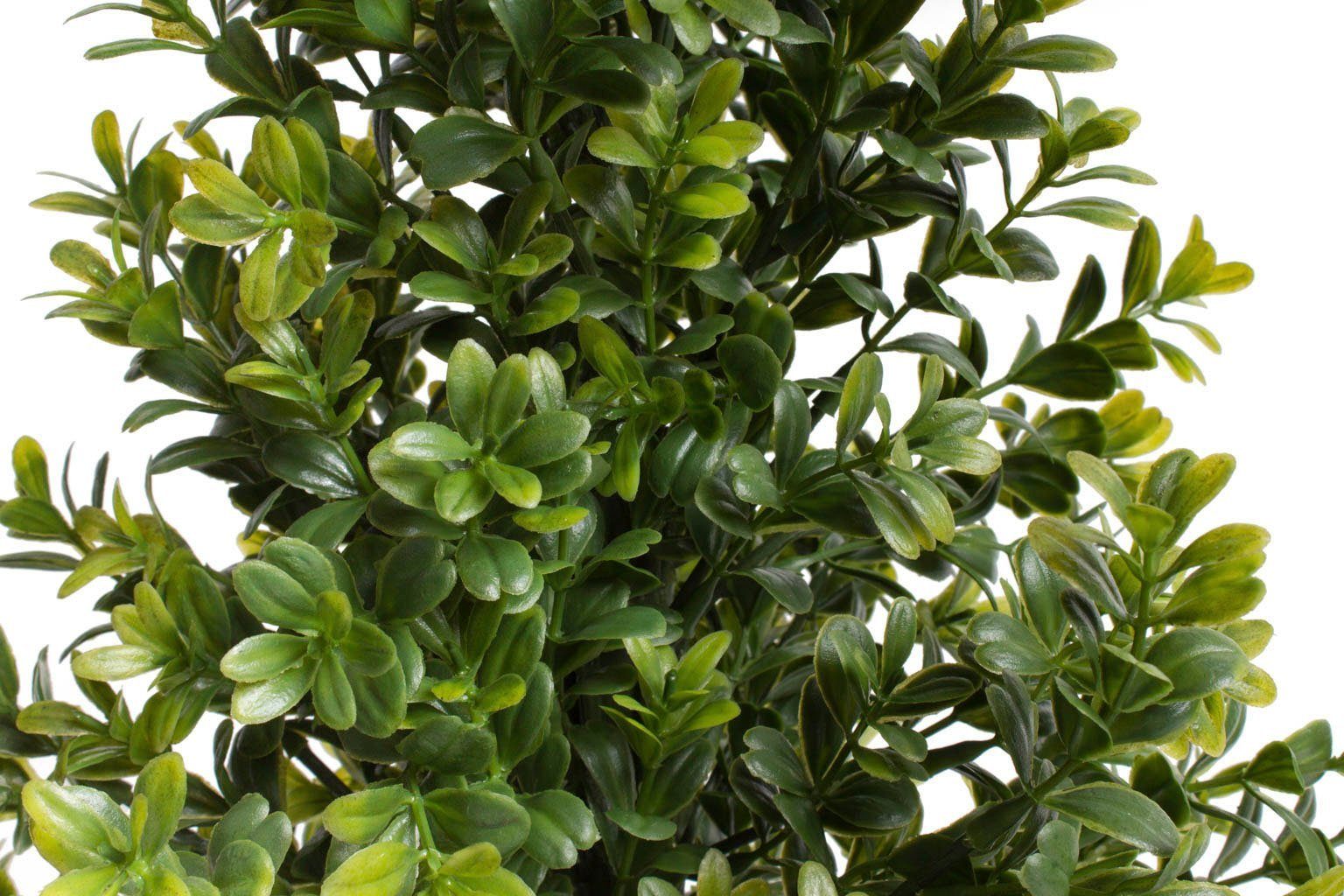 Künstliche Zimmerpflanze Buchsbaum im Topf Buchs, Botanic-Haus, Höhe 60 cm