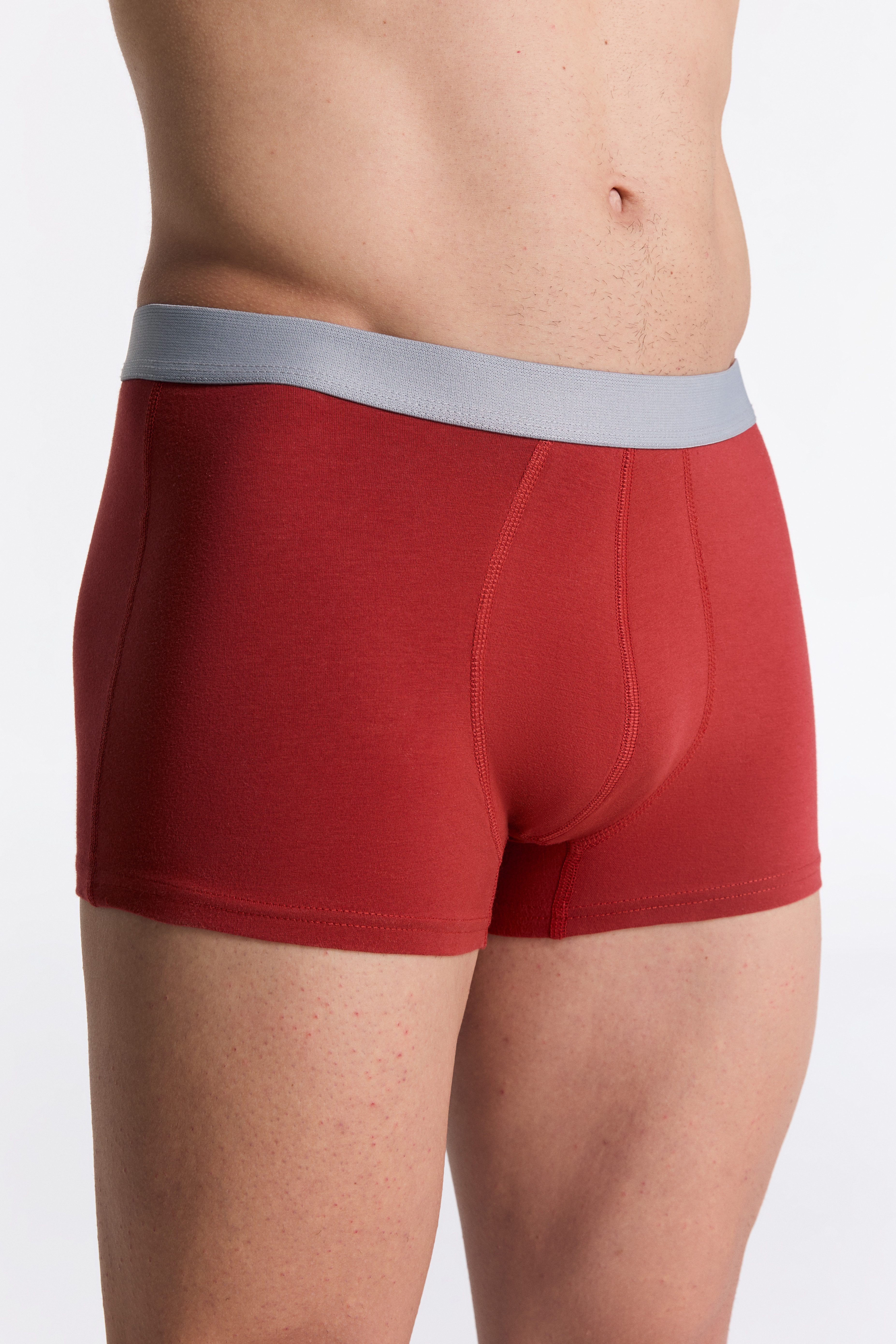 Albero Natur Boxershorts Trunk Shorts günstig online kaufen