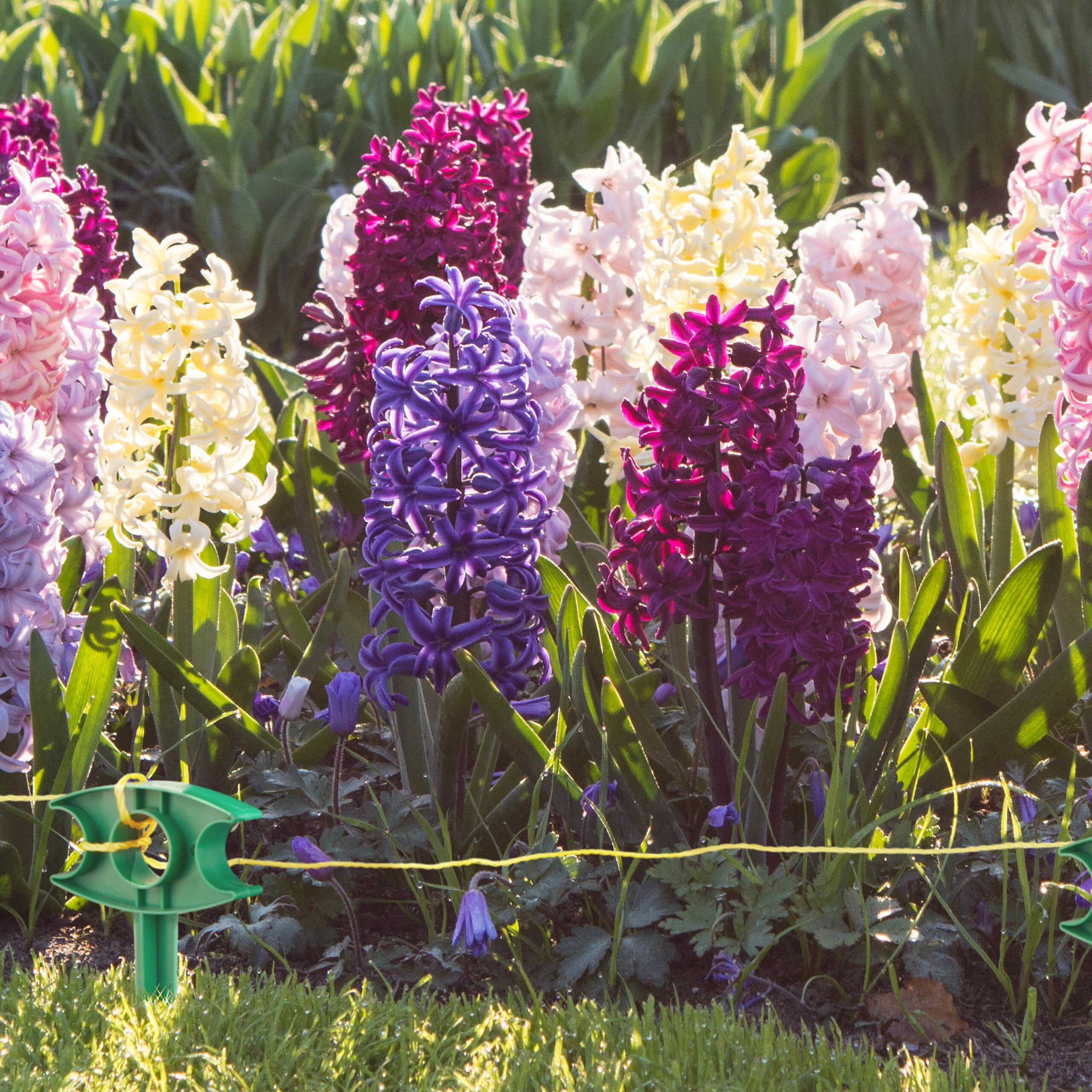 relaxdays Zelthering 6er Set Heringe mit Pflanzschnur