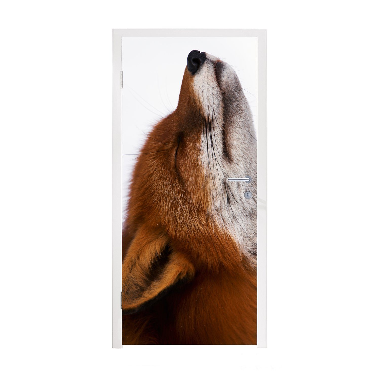 MuchoWow Türtapete Fuchs - Nase - Weiß, Matt, bedruckt, (1 St), Fototapete für Tür, Türaufkleber, 75x205 cm