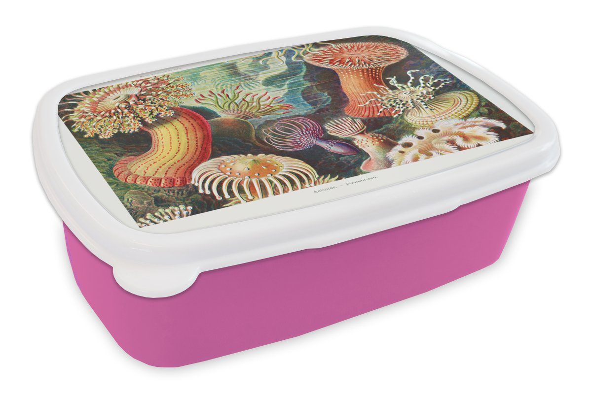 MuchoWow Lunchbox Ernst Haeckel - Anemone - Retro - Natur - Pflanzen - Meer, Kunststoff, (2-tlg), Brotbox für Erwachsene, Brotdose Kinder, Snackbox, Mädchen, Kunststoff rosa