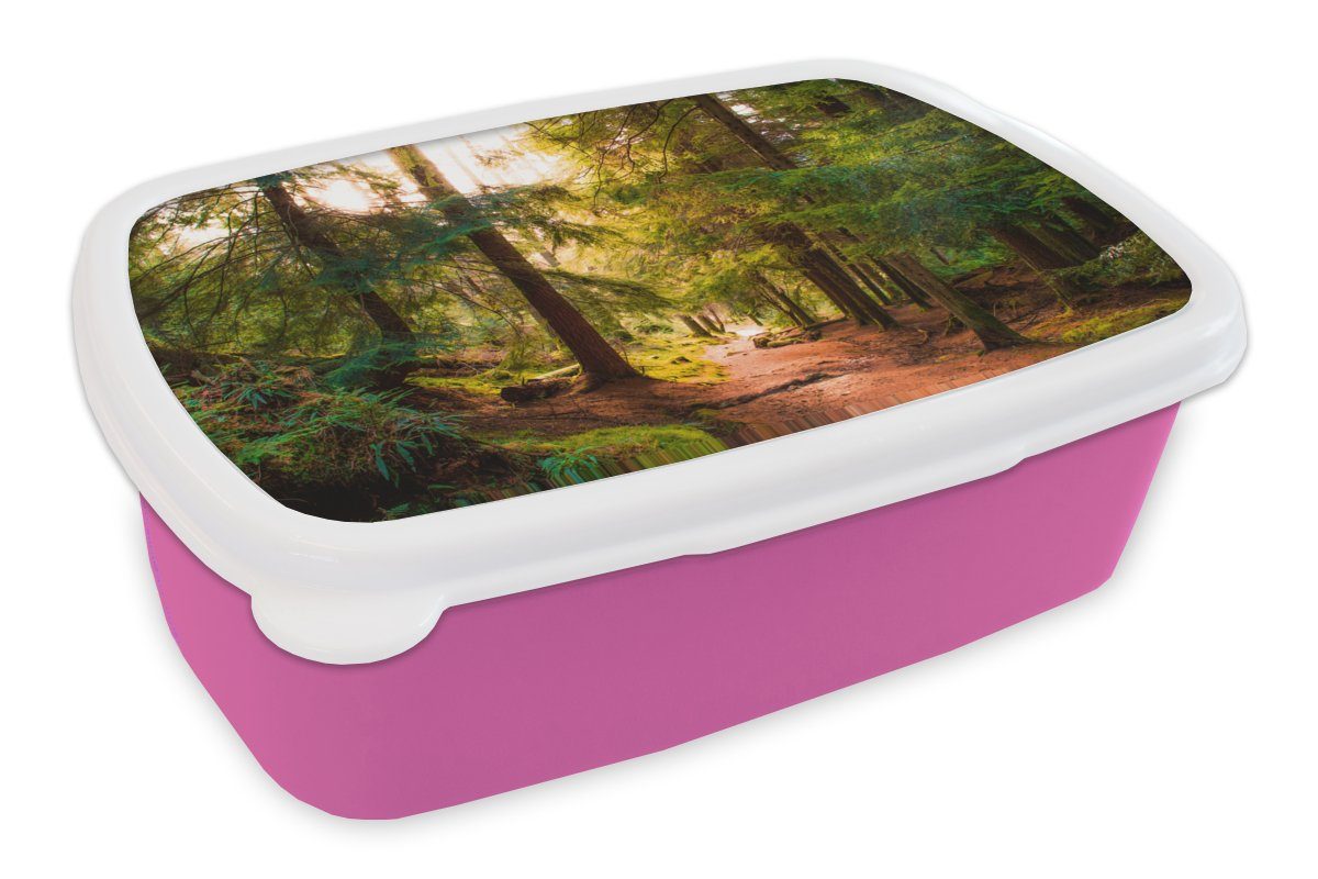 MuchoWow Lunchbox Wald - Weg - Bäume - Grün - Sonne - Natur, Kunststoff, (2-tlg), Brotbox für Erwachsene, Brotdose Kinder, Snackbox, Mädchen, Kunststoff rosa