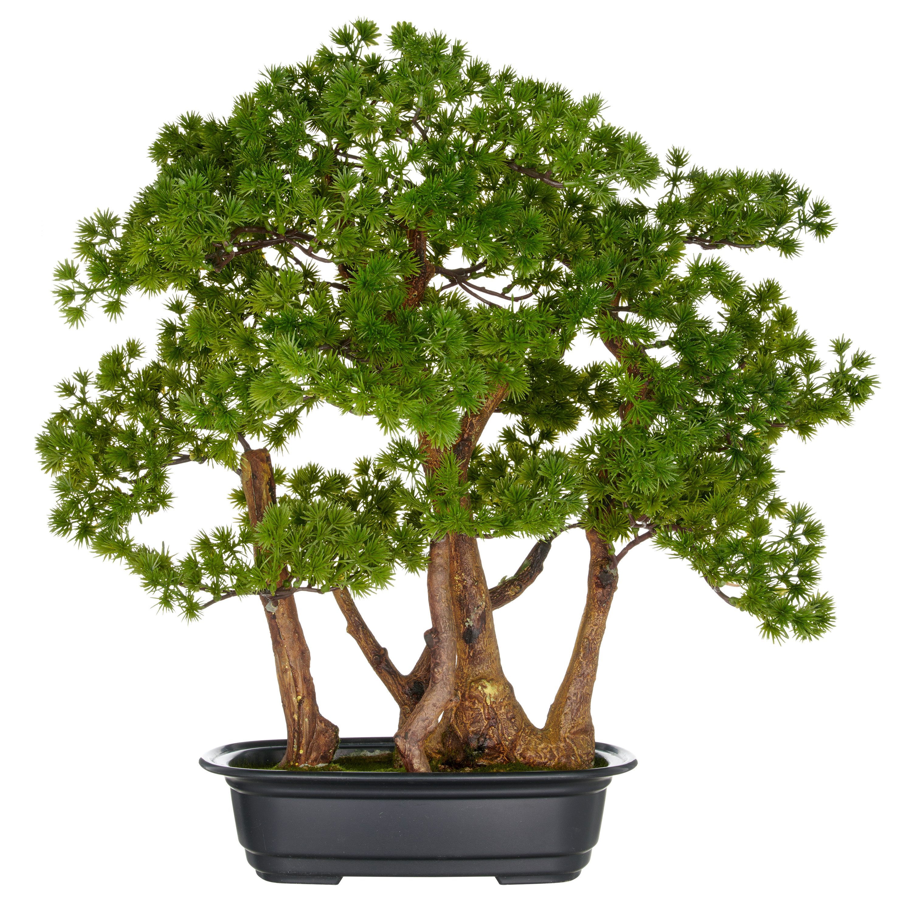Kunstbonsai Bonsai Larix, Creativ green, Höhe 53 cm, mit detailgetreuer Gestaltung