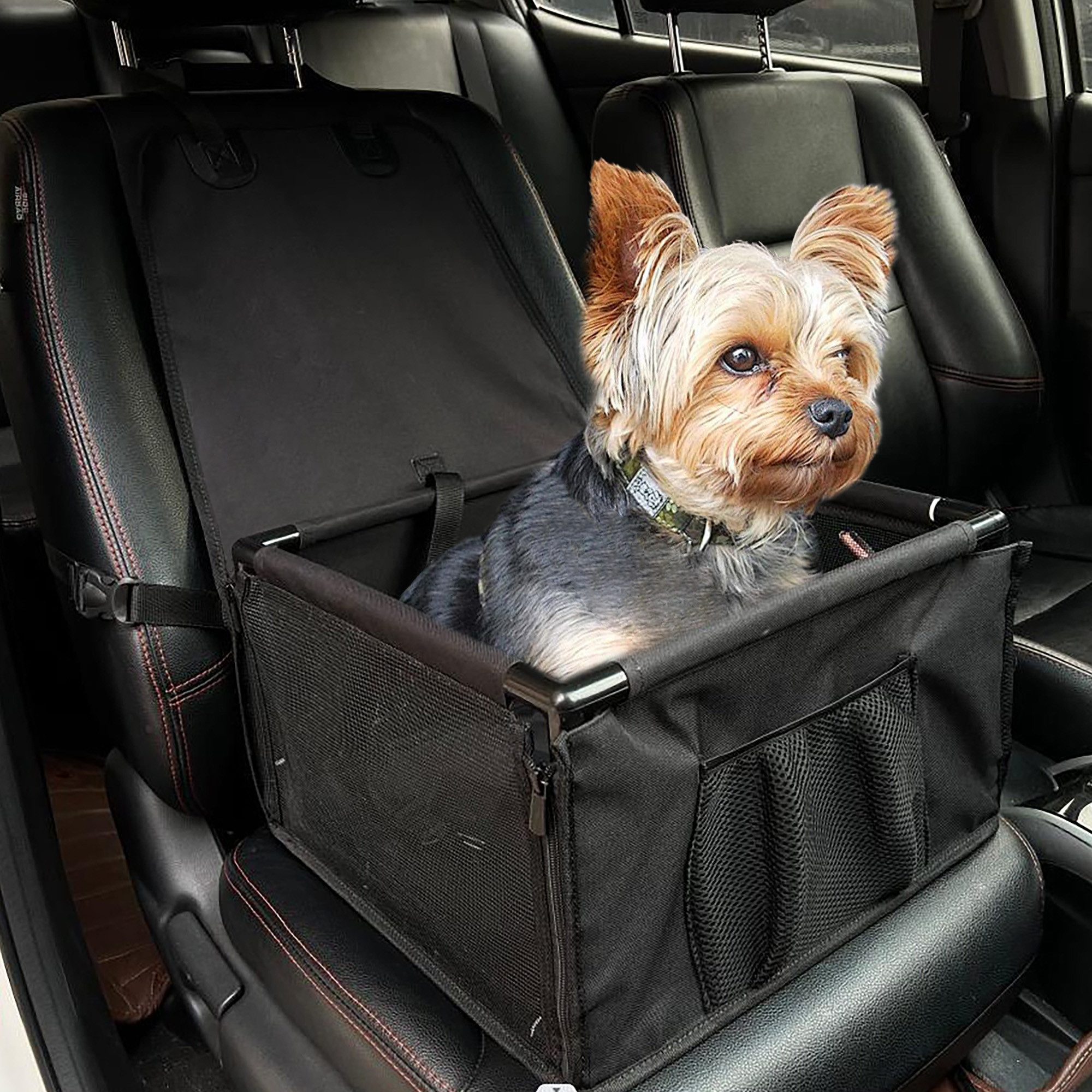 CALIYO Hunde-Autositz Verstärkter Autositz Wasserdicht für kleine mittelgroße Hunde, Faltbar Hundebox Auto mit Netzfenstern Sicherheitsgurten