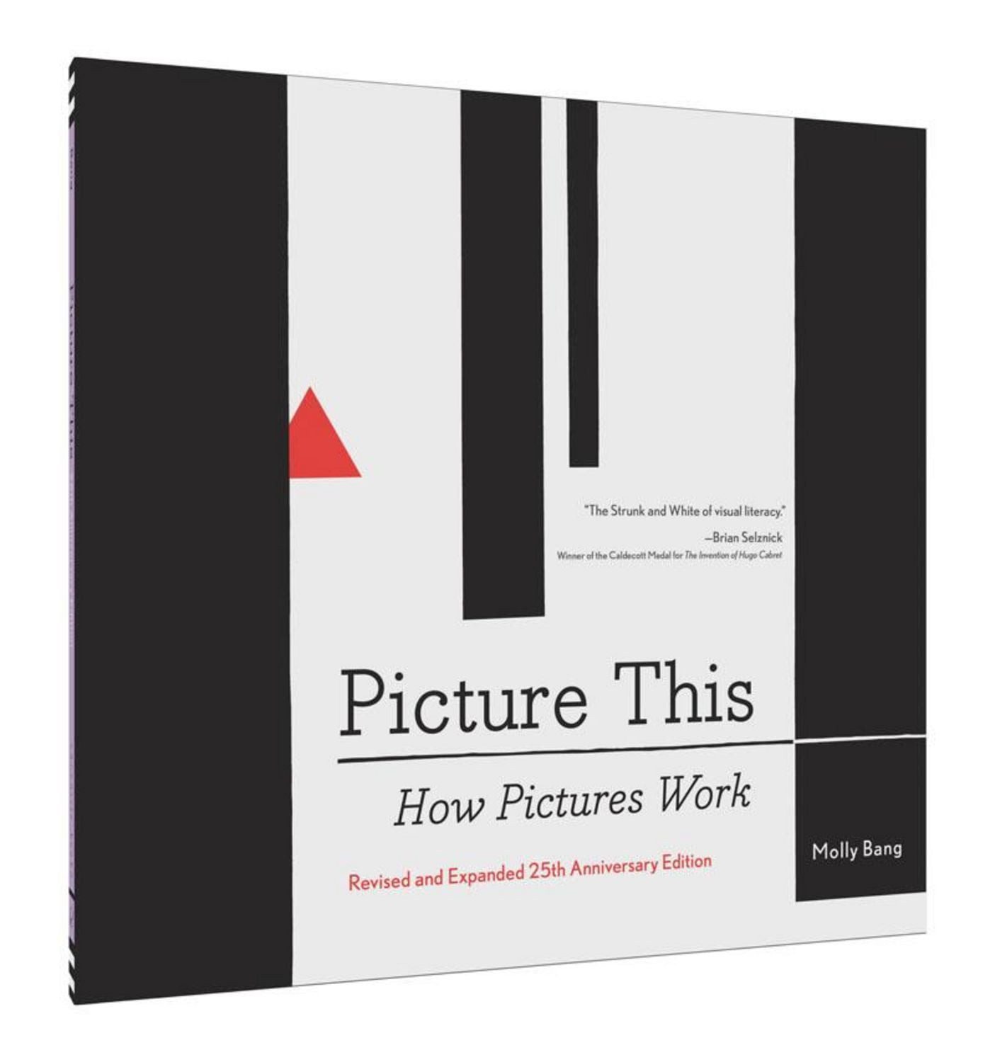 Picture This How Pictures Work / Molly Bang