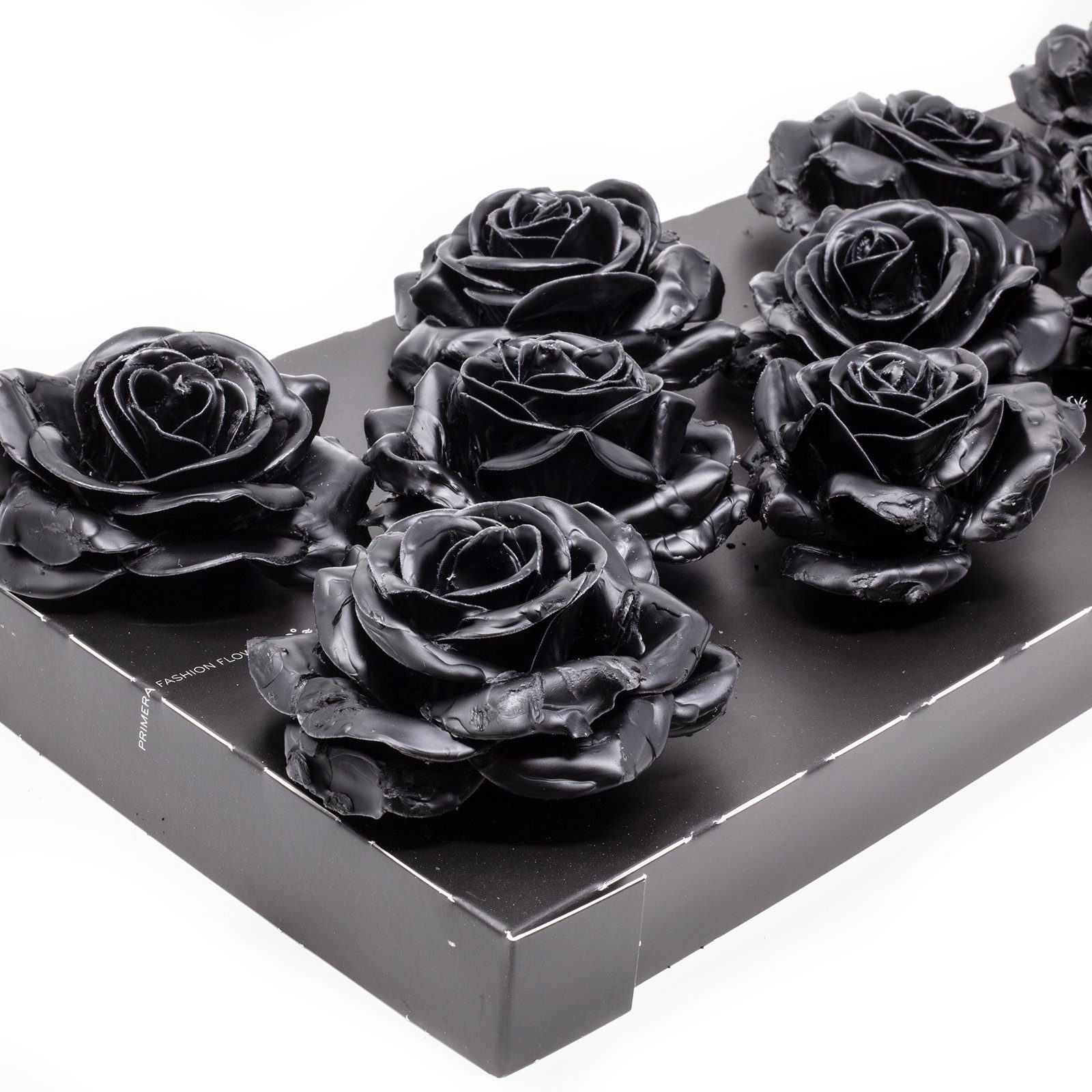 Wachsrose 25 Primera, Black, Höhe 12er cm Trockenblume Set -