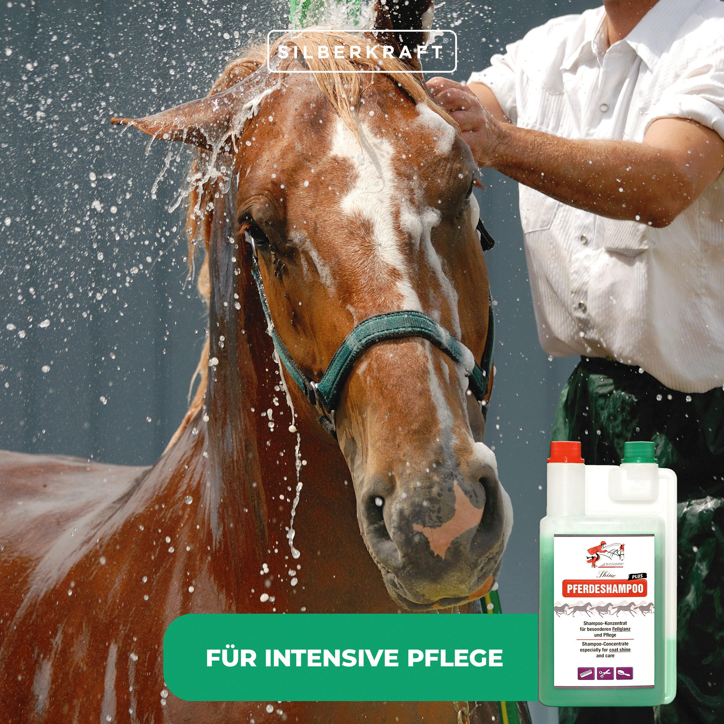 Silberkraft Tiershampoo Pferdeshampoo Plus: für gesundes und glänzendes Pferdefell, 1000 ml, (Für Pferde & Ponys aller Rassen, Ideal zur Pflege von Schweif, Mähne & Langhaar), Konzentriertes Shampoo für seidigen Glanz & gepflegtes Langhaar