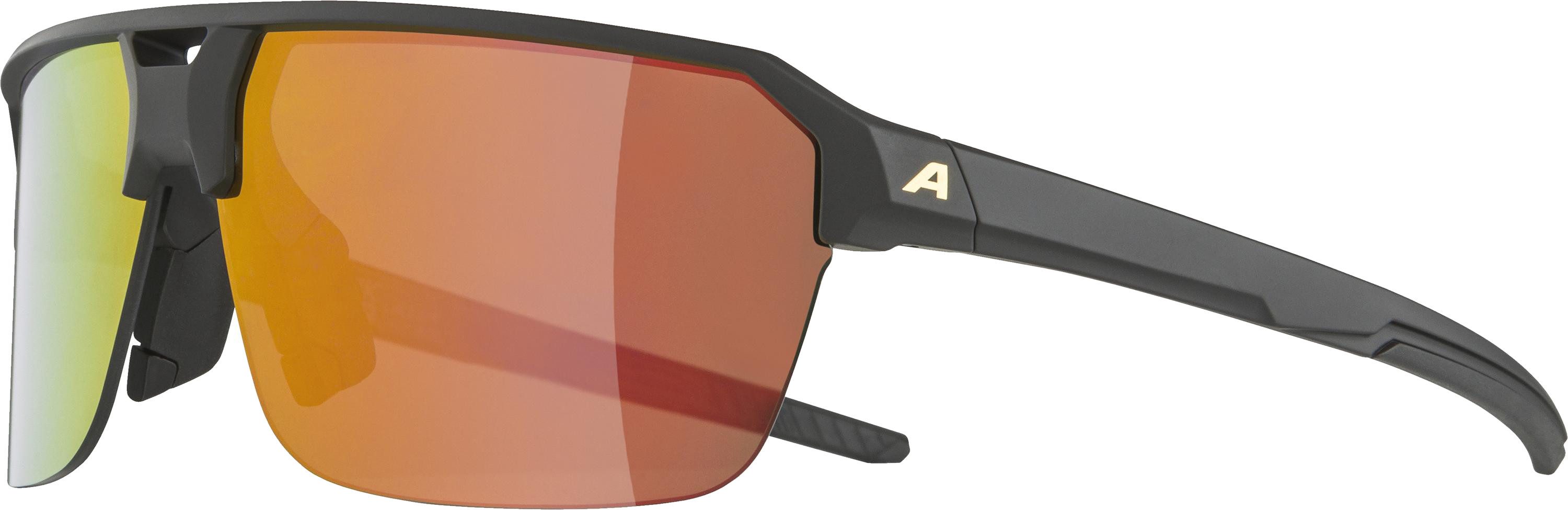 Alpina Sports Sonnenbrille Alpina Sport Sonnenbrille günstig online kaufen