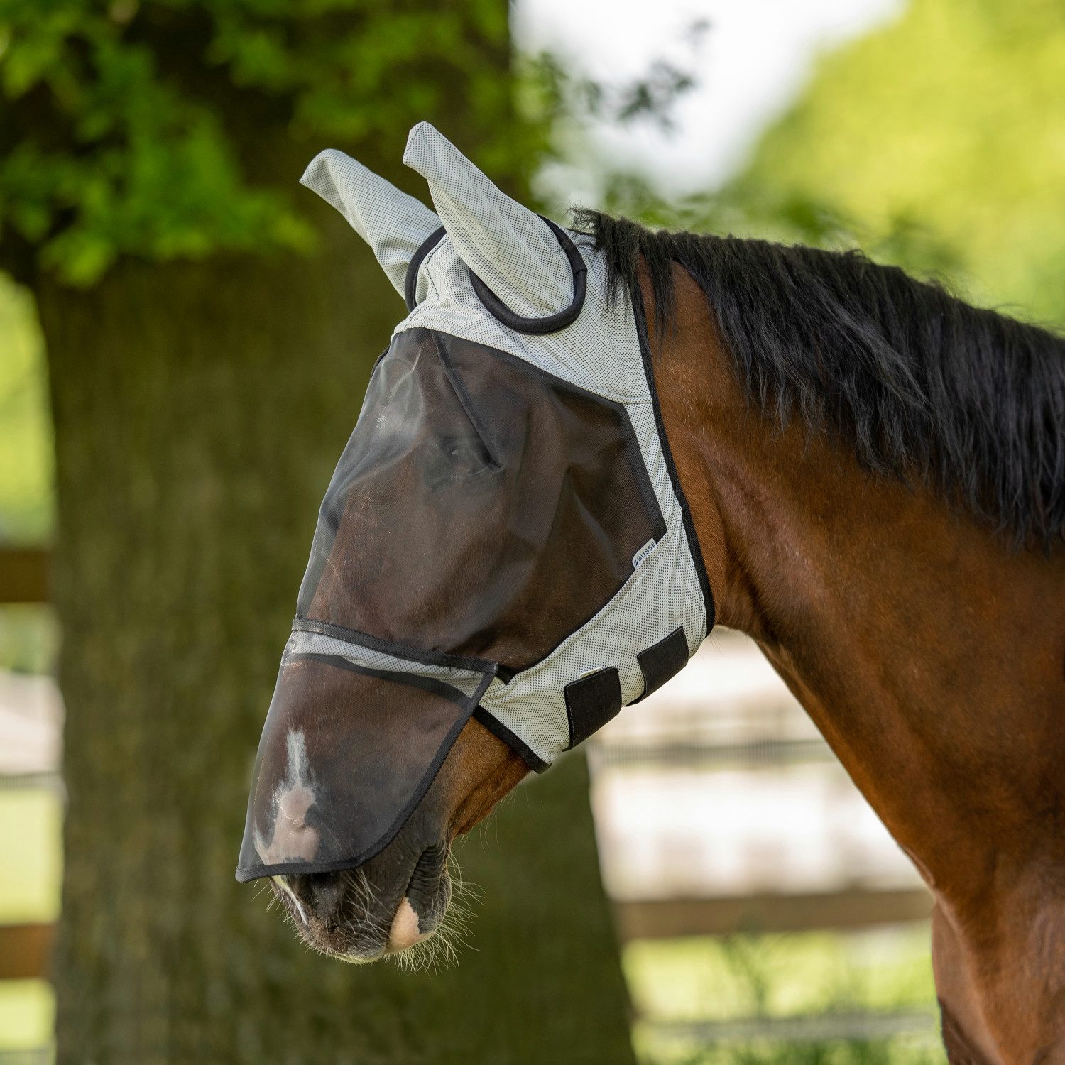 Fliegenmasken Busse Fliegenmaske Fly Guard II Plus