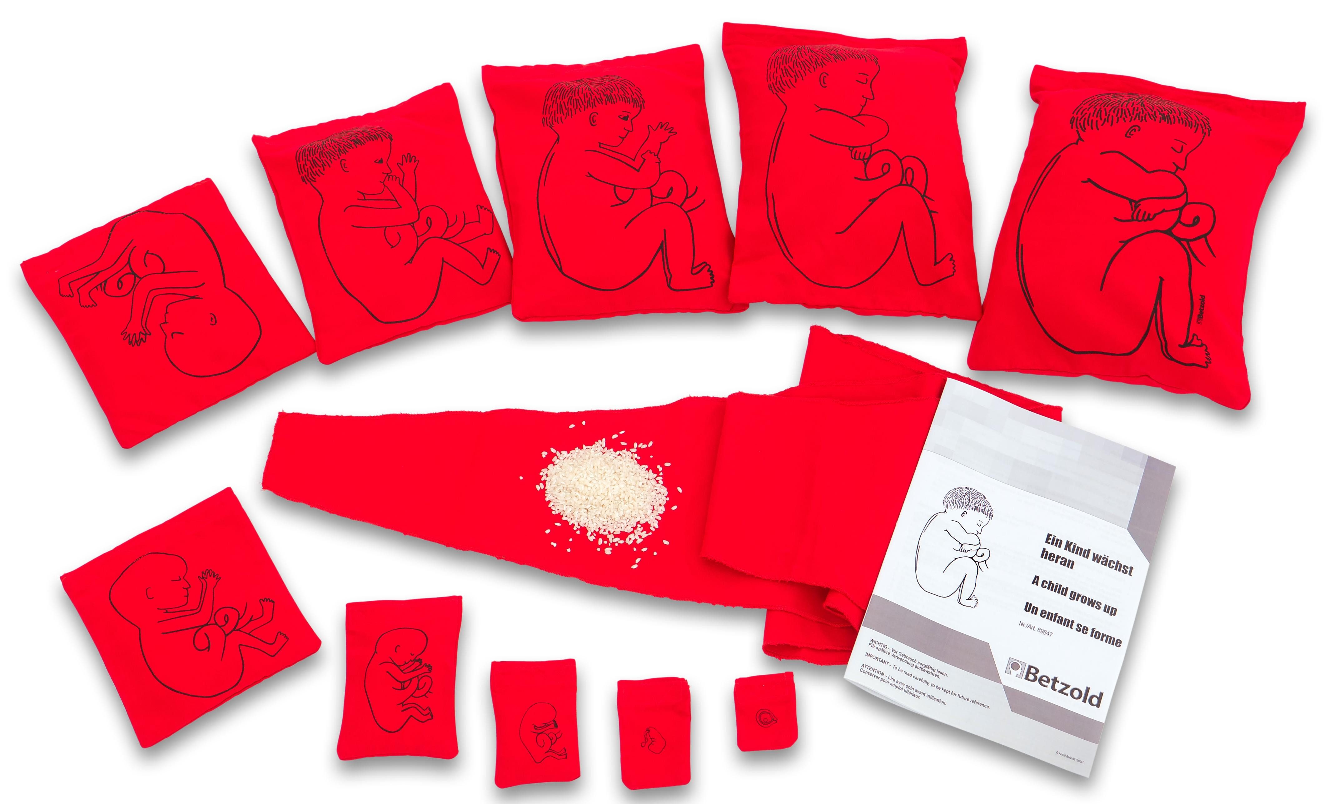 Betzold Lernspielzeug Ein Kind wächst heran