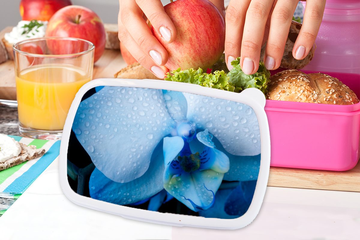 MuchoWow Lunchbox Blumen Snackbox, Kunststoff - Erwachsene, Brotdose (2-tlg), Kinder, Brotbox Kunststoff, Mädchen, rosa für Wasser, - Blau